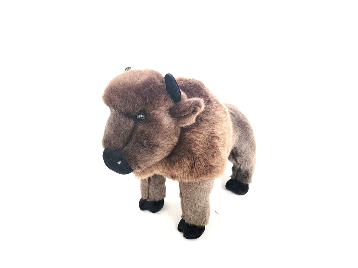 Bison