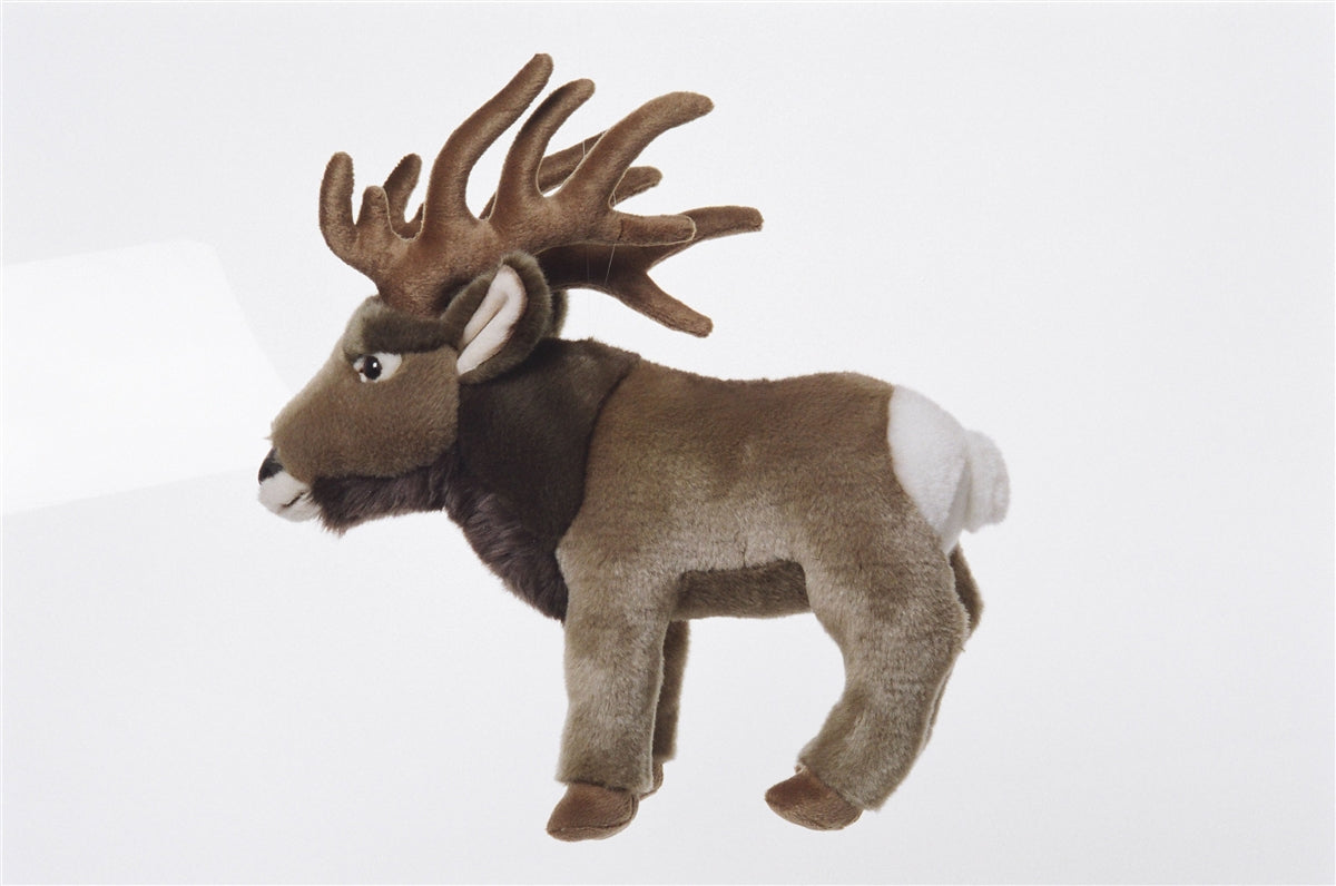 Elk