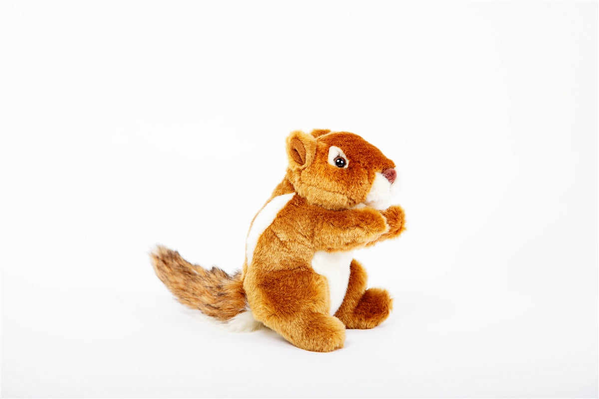 Chipmunk