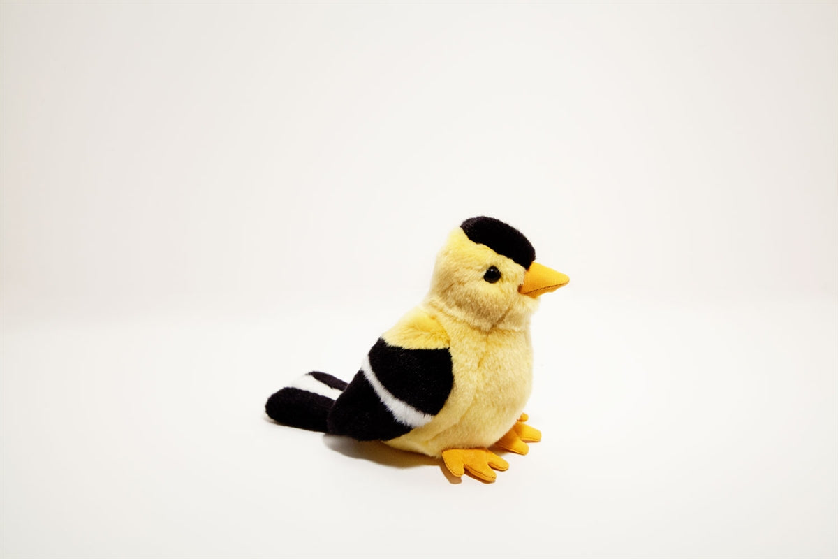 Goldfinch