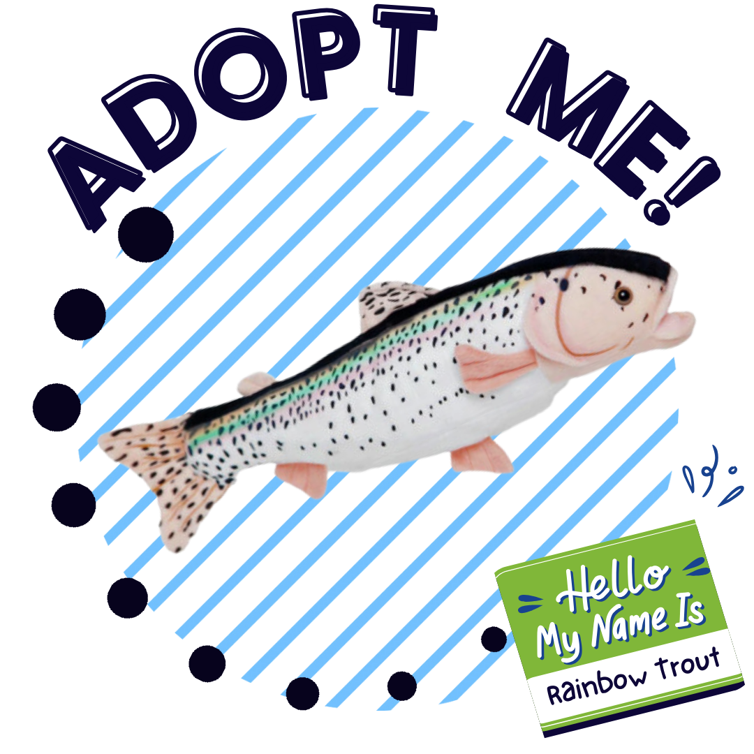 Rainbow Trout Adoption Kit