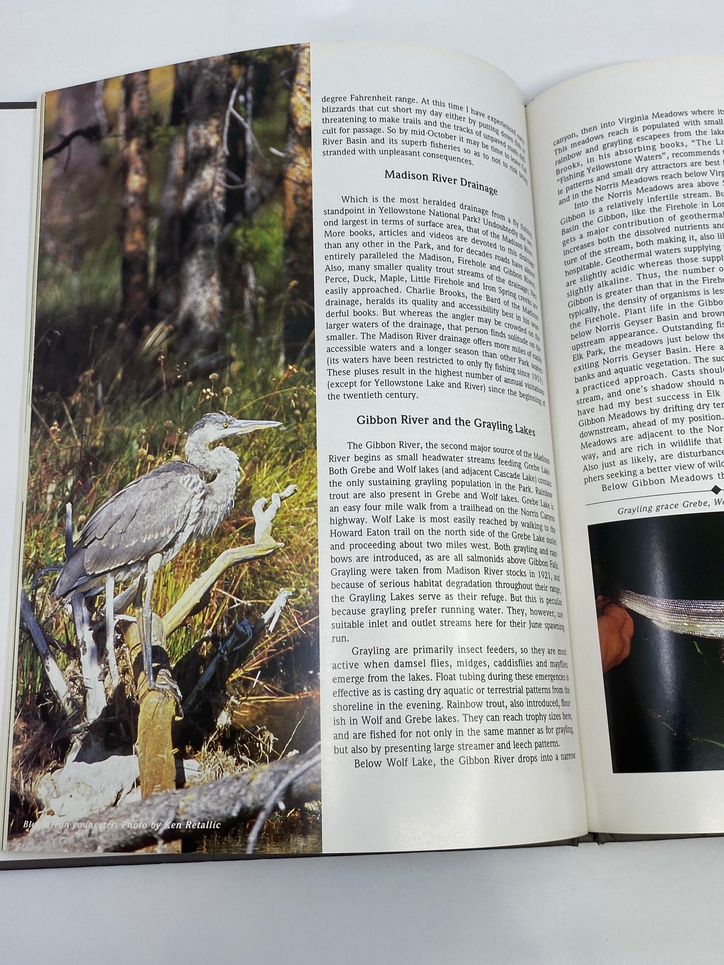 River Journal: Yellowstone Park