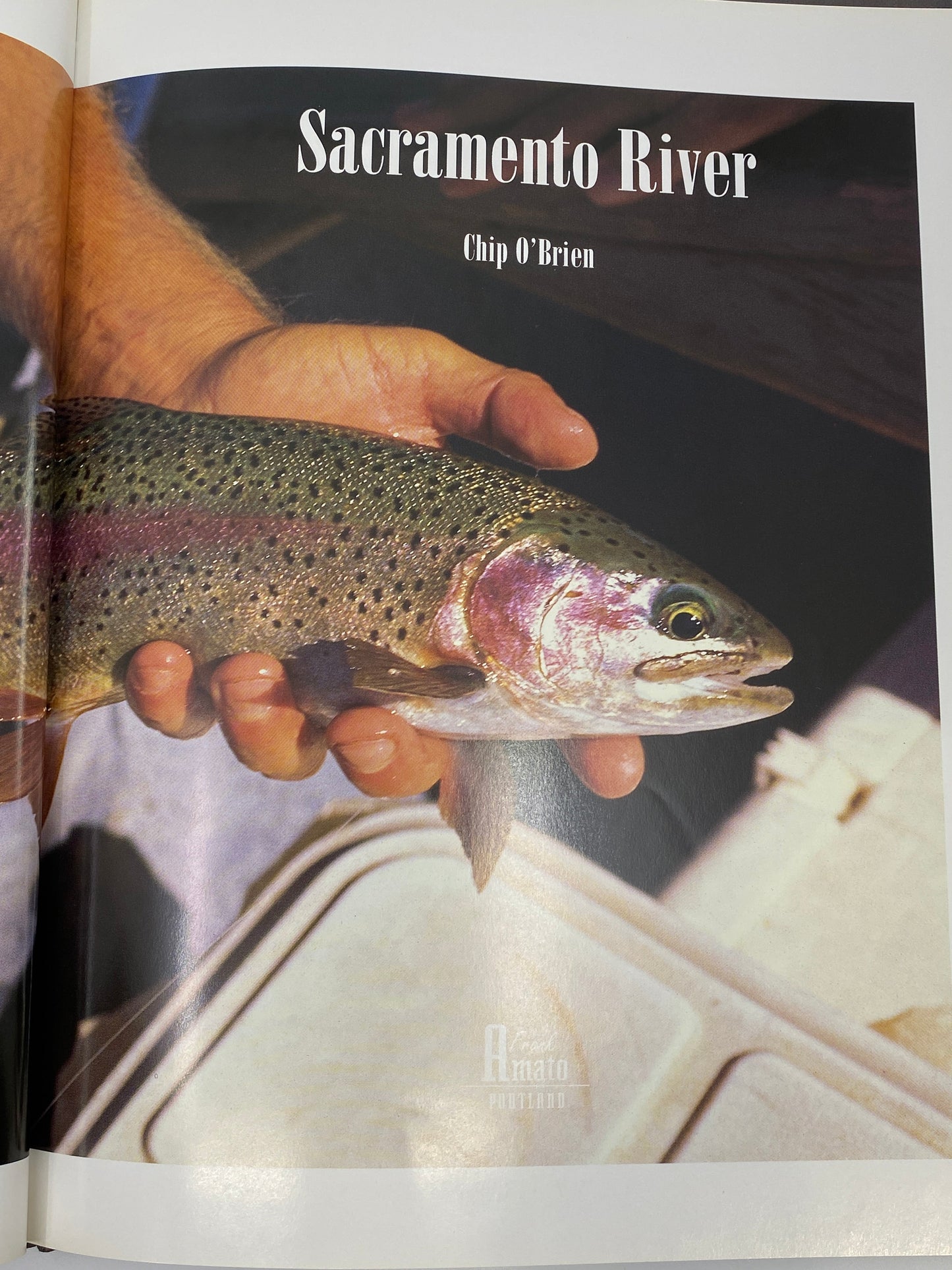 River Journal: Sacramento River