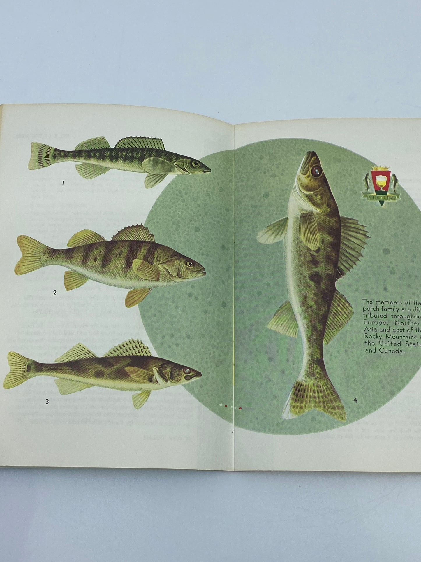 Sports Afield Know Your Fish