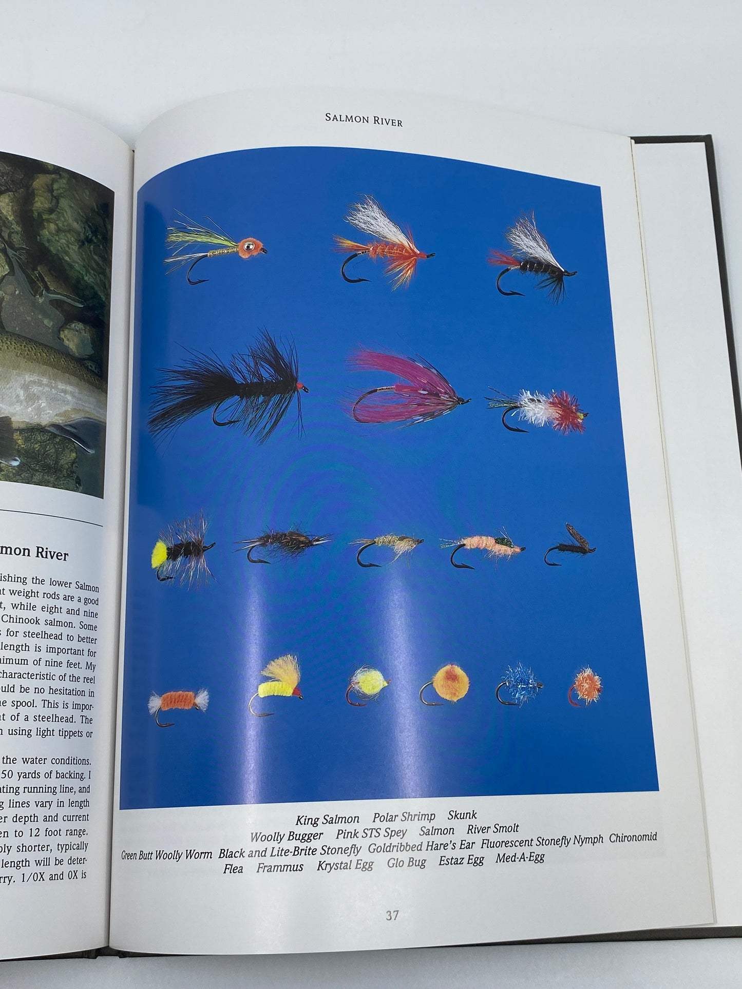 River Journal: Salmon River