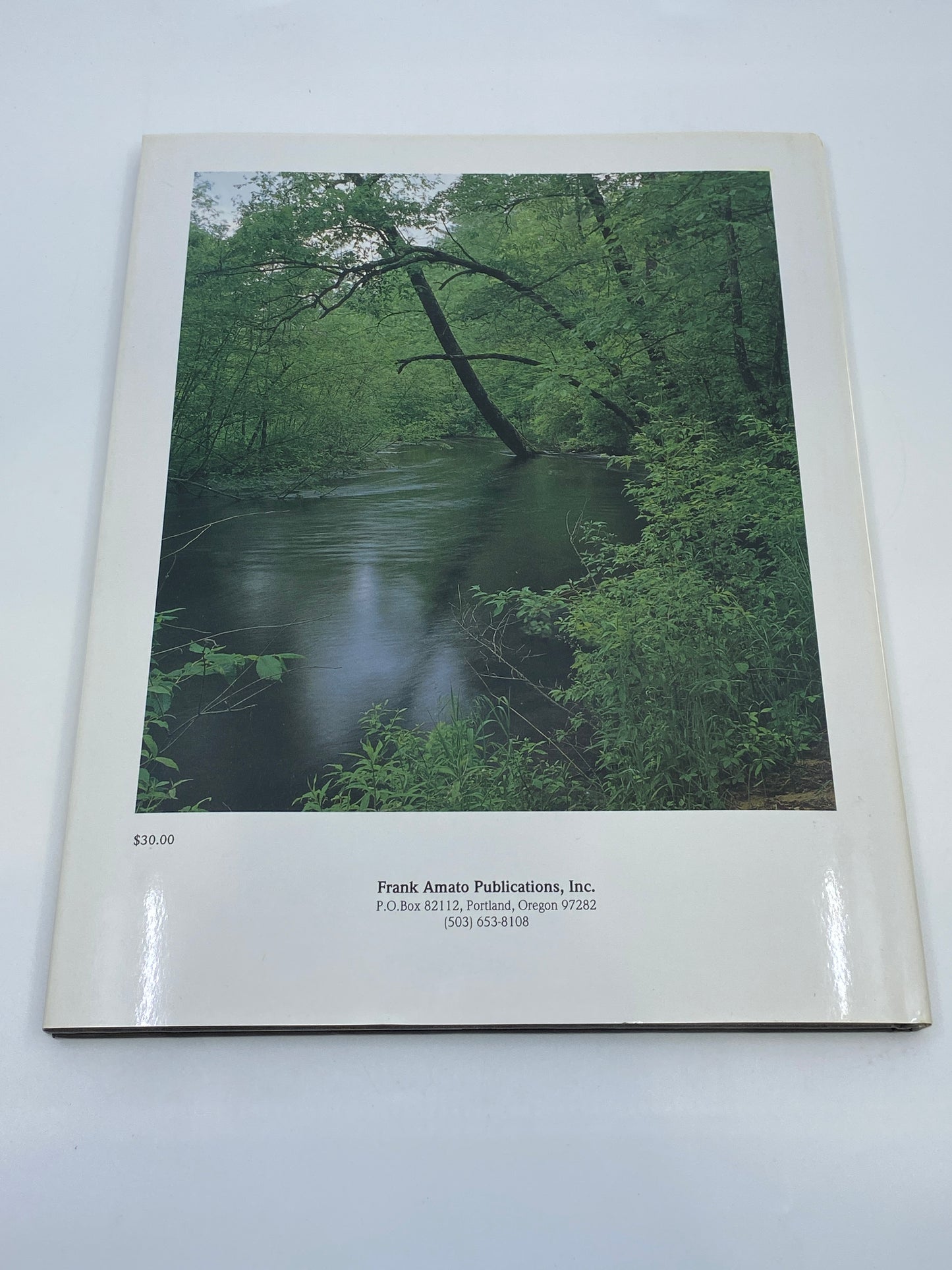 River Journal: Pere Marquette