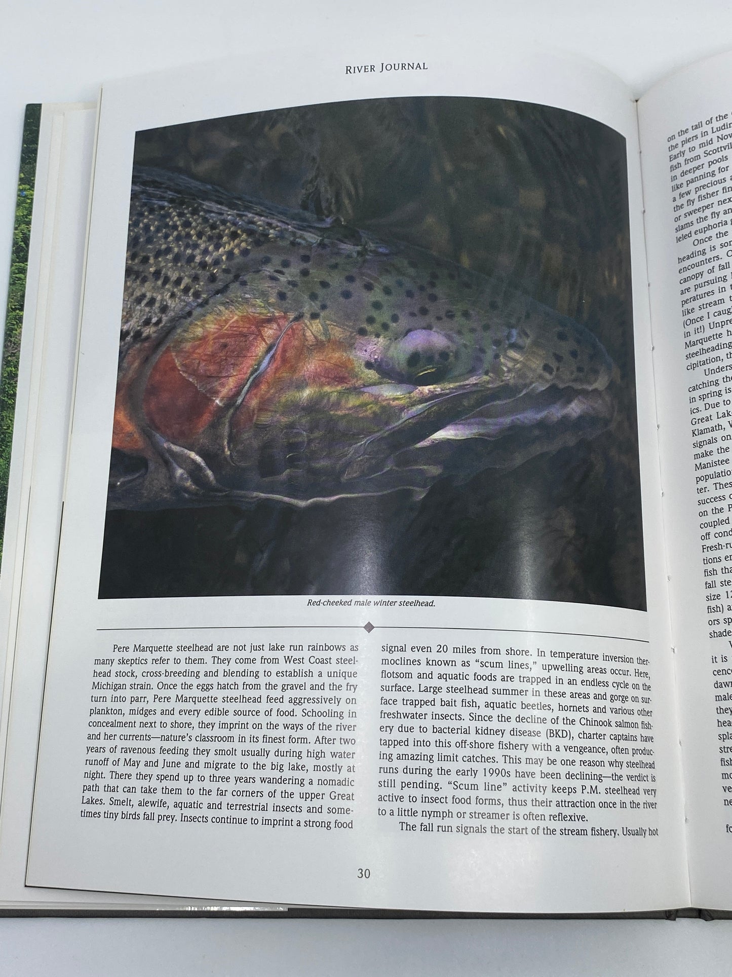 River Journal: Pere Marquette