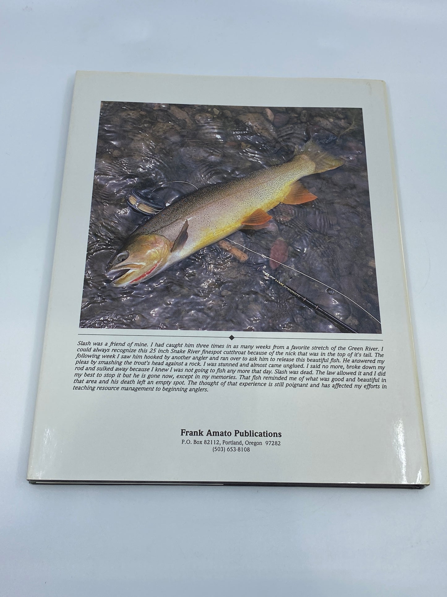 River Journal: Green River