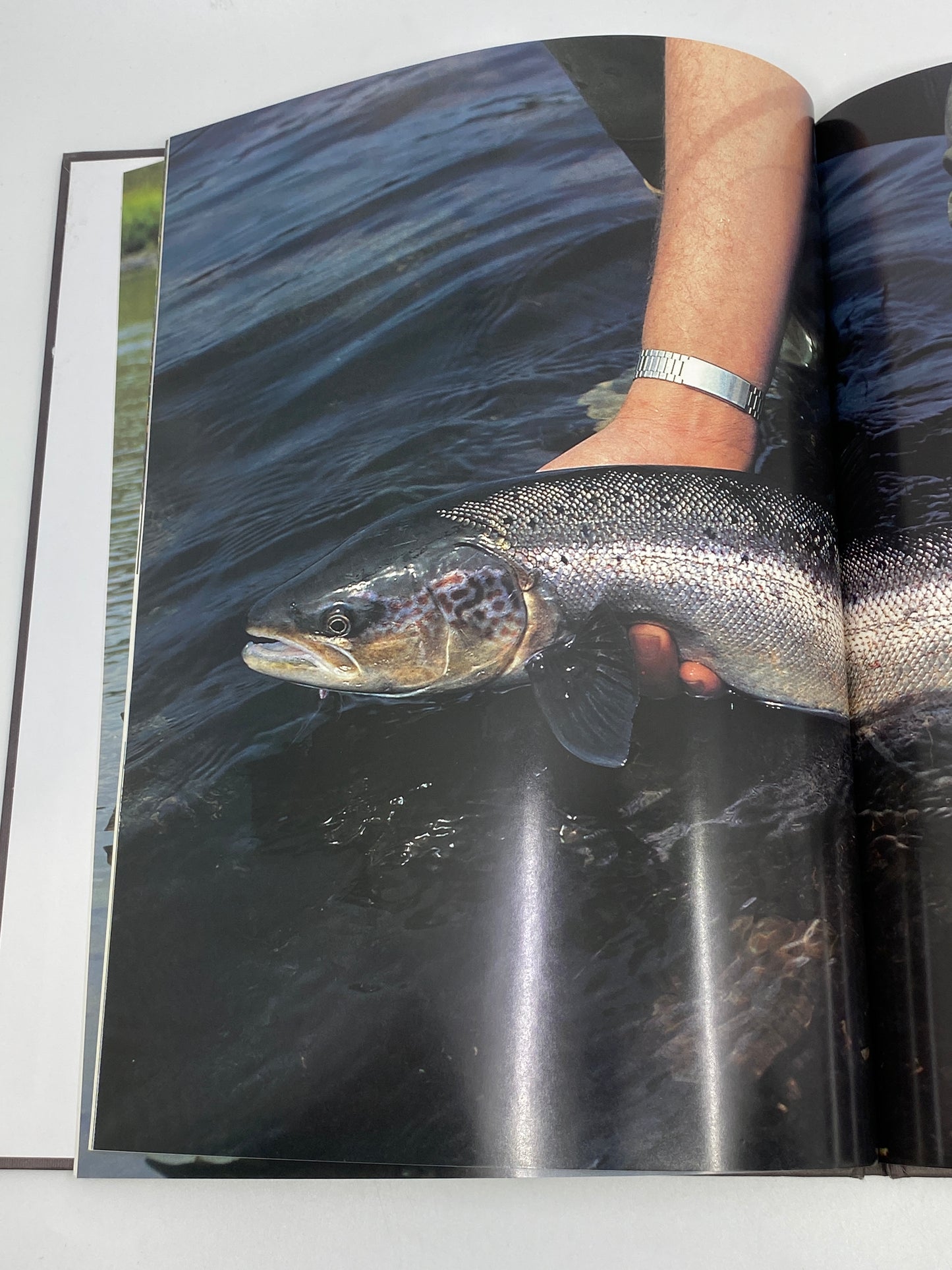 River Journal: Miramichi River