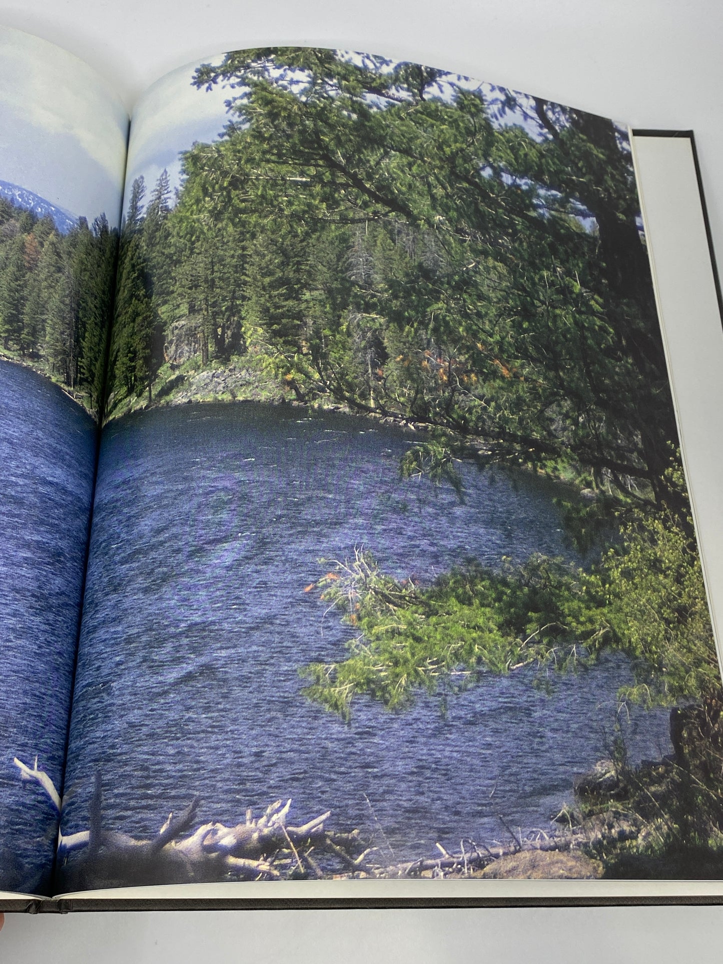 River Journal: Henry's Fork