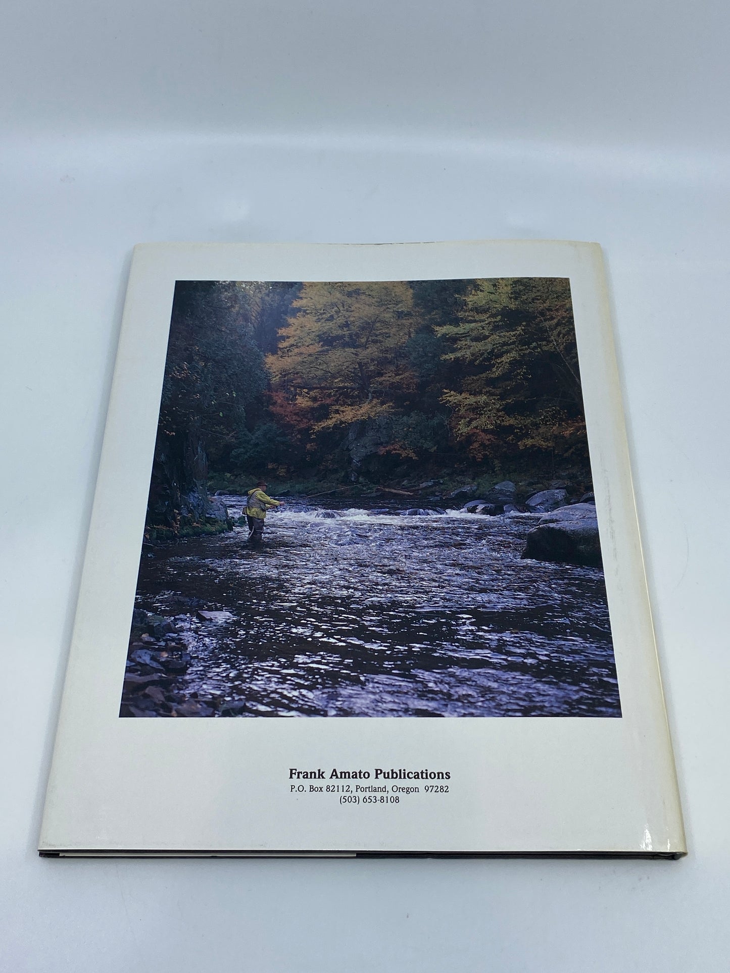 River Journal: Ausable River