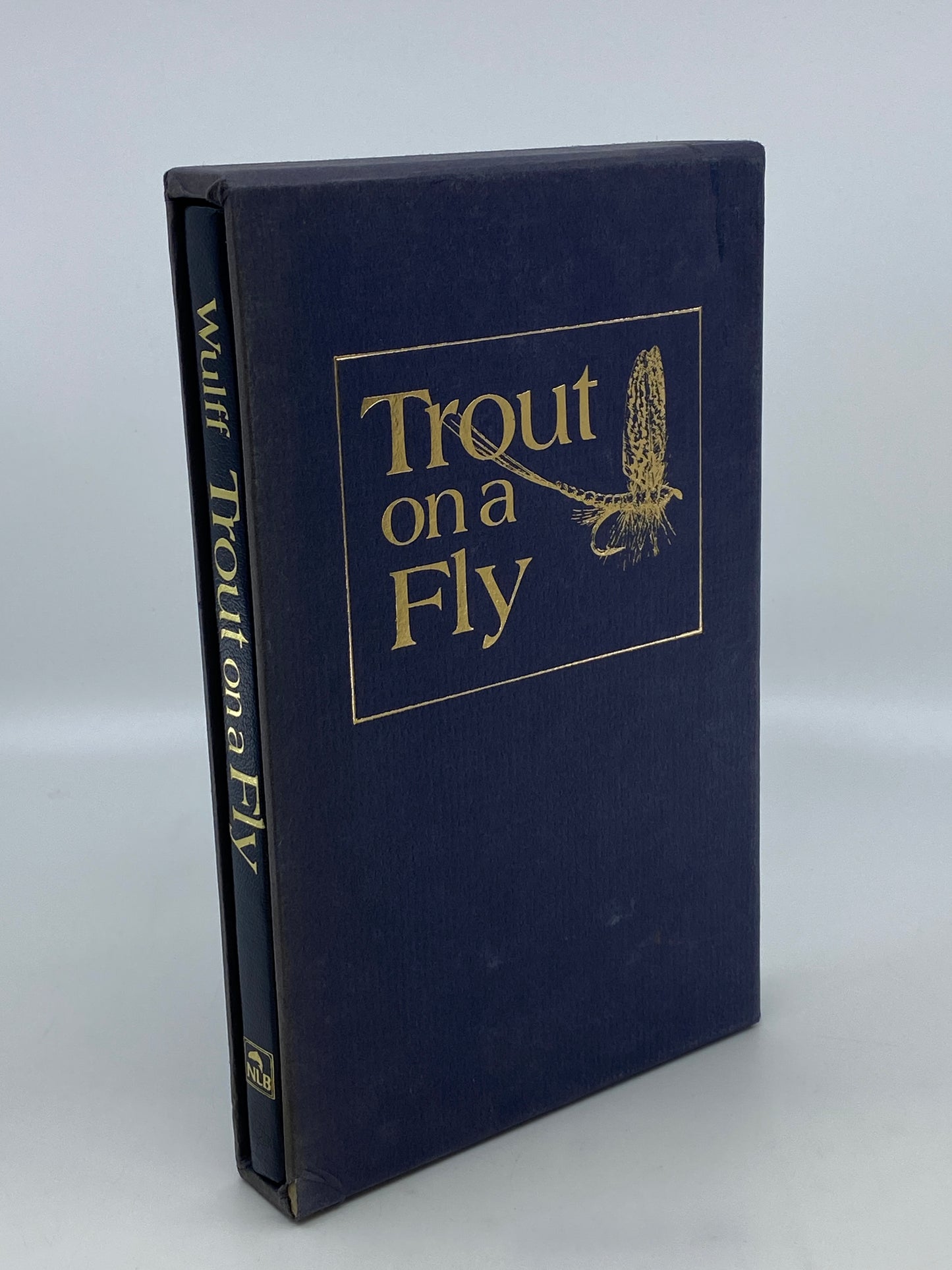 Trout on Fly