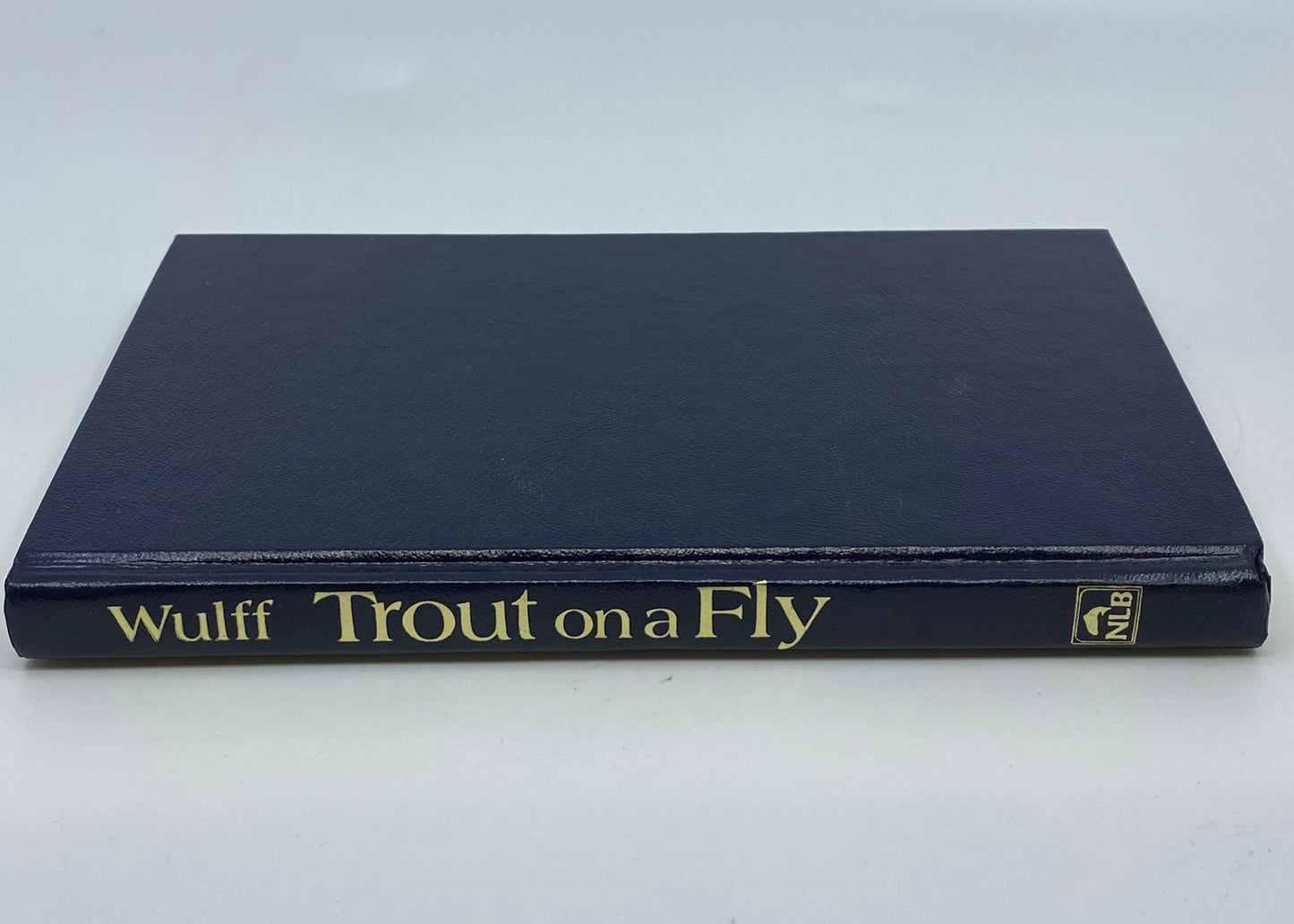 Trout on Fly