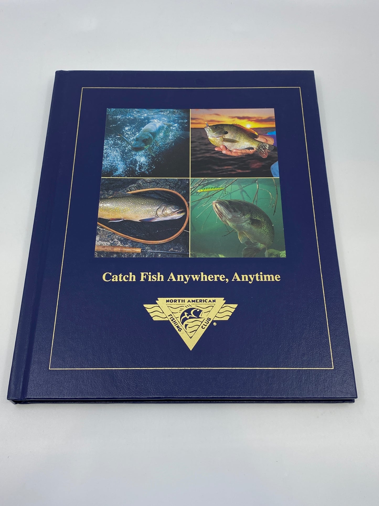 Catch Fish Anywhere, Anytime