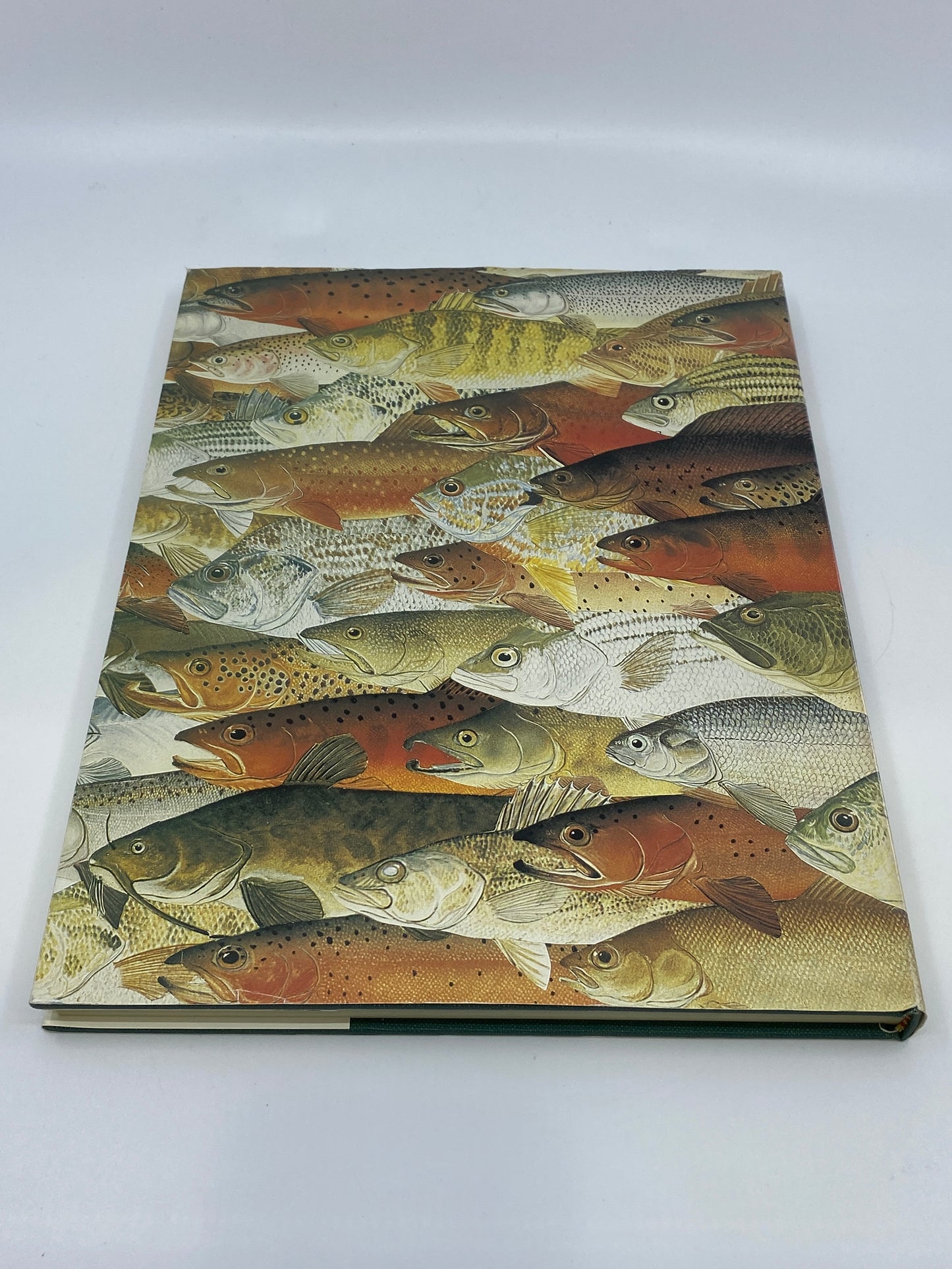 Comprehensive Guide to Western Gamefish