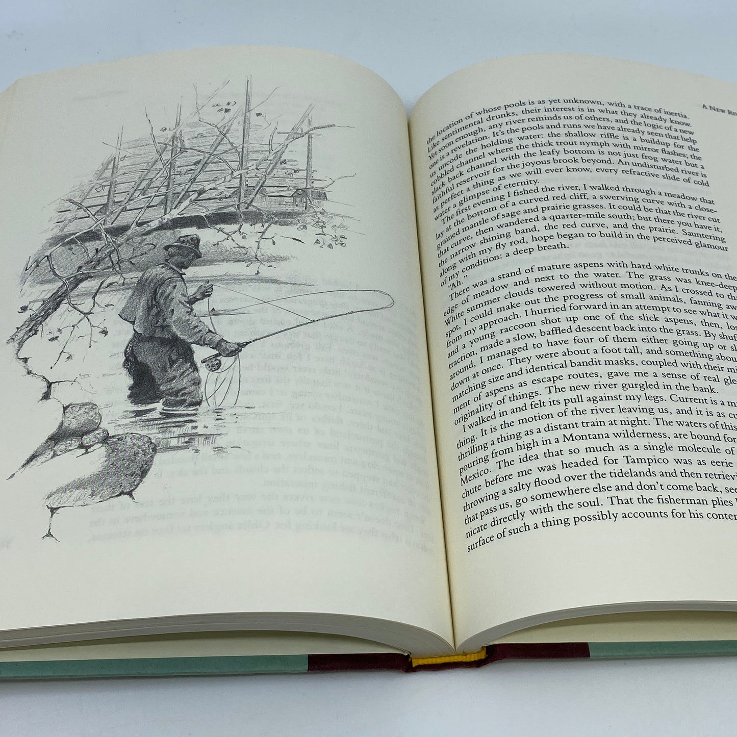 Seasons of the Angler