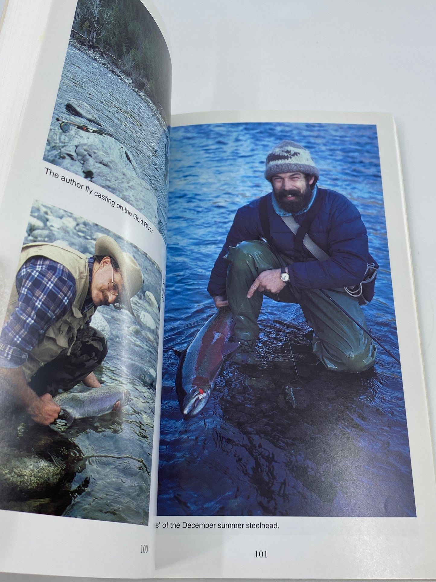 Steelhead