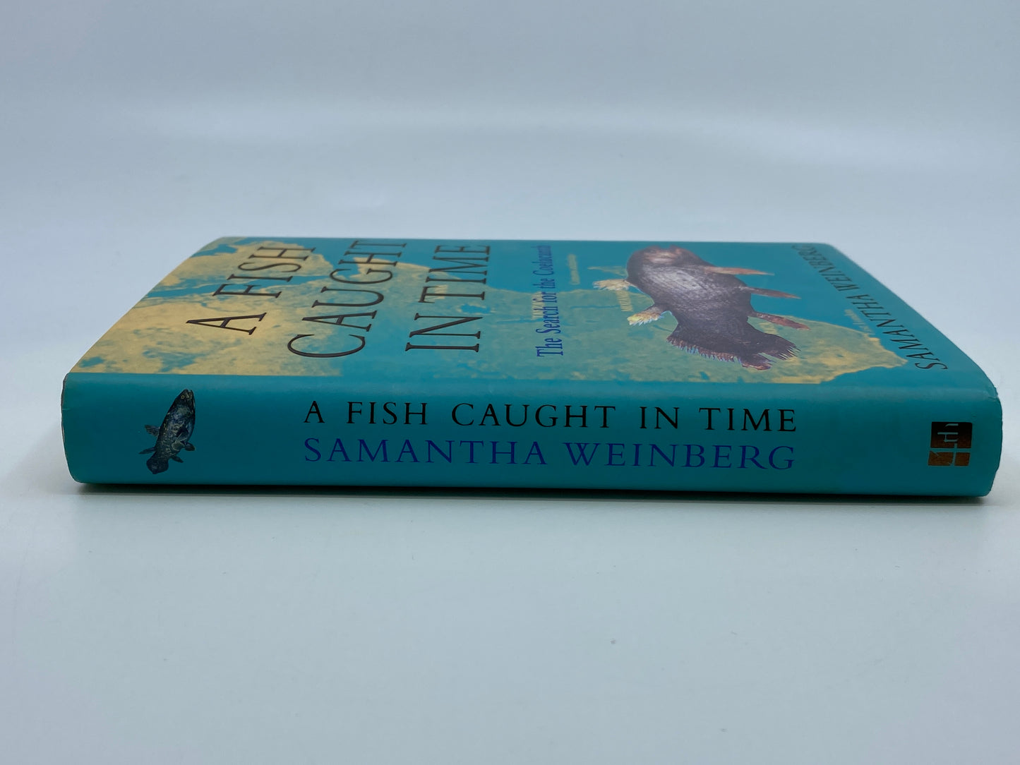 A Fish Caught in Time