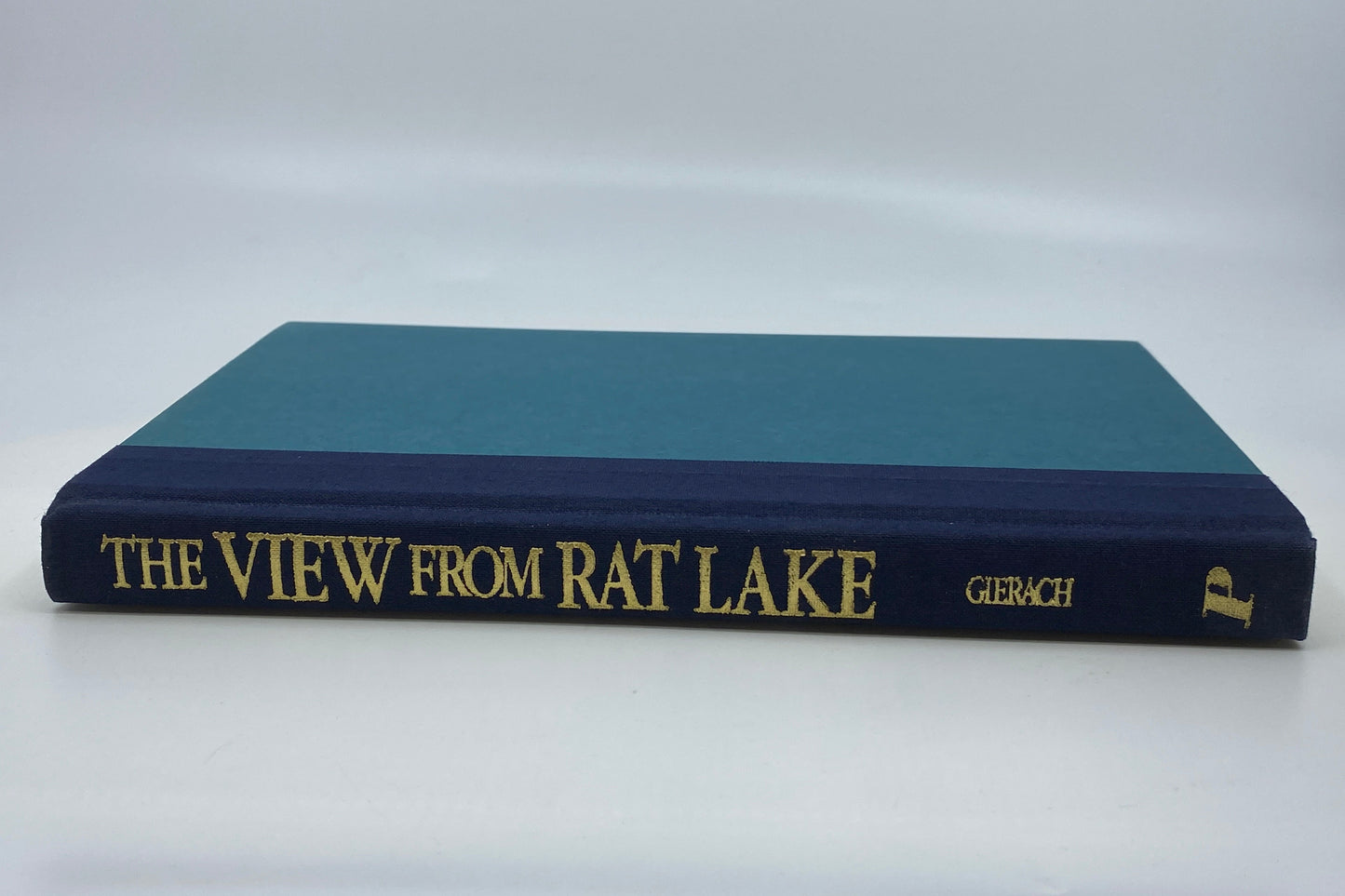 The View from Rat Lake