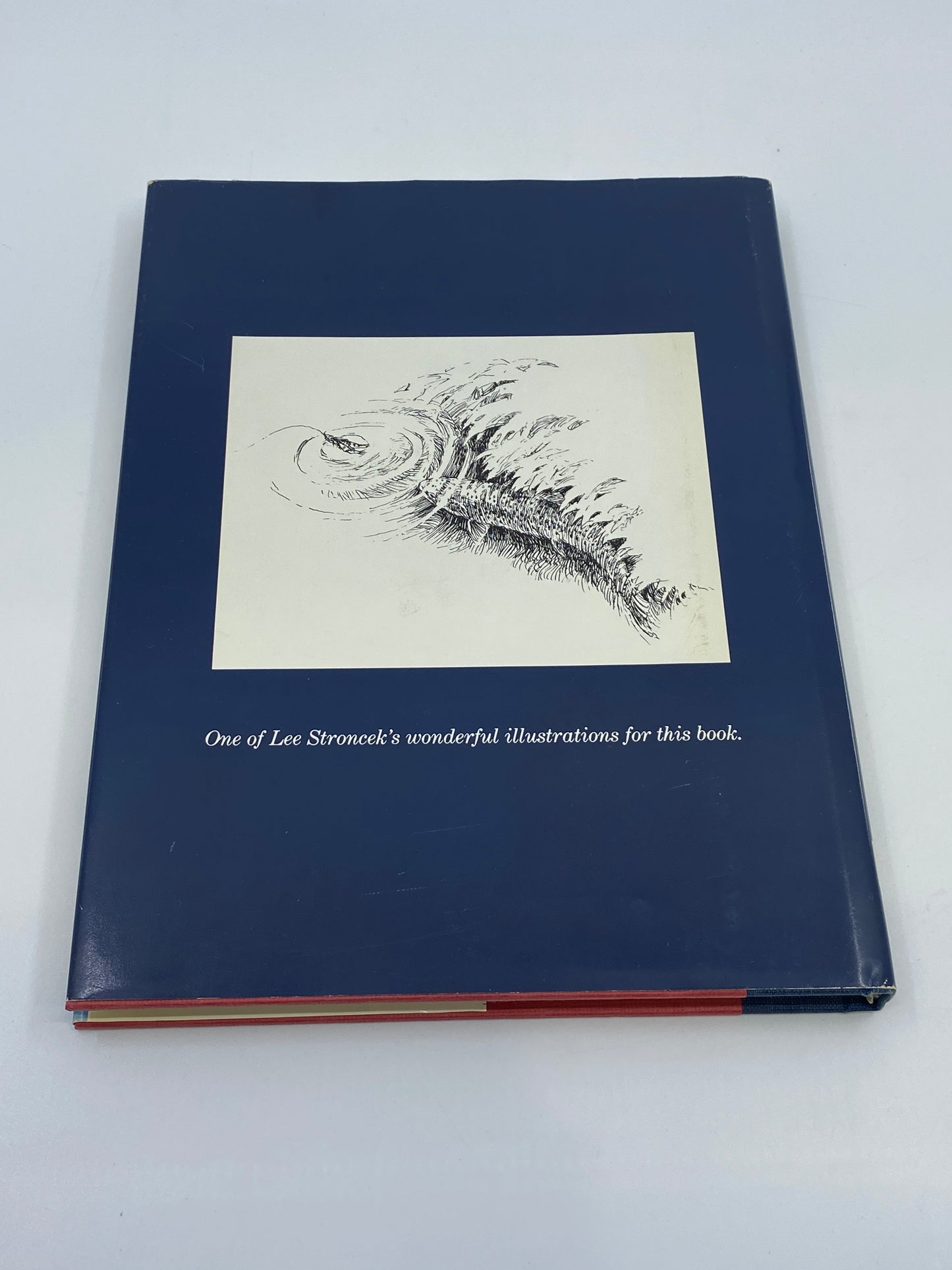 Bud Lilly's Guide to Western Fly Fishing
