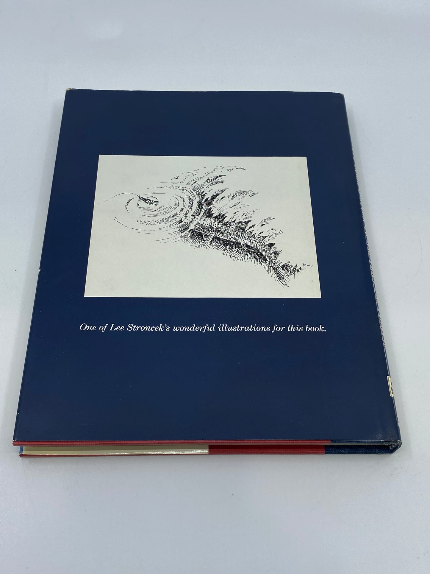 Bud Lilly's Guide to Western Fly Fishing