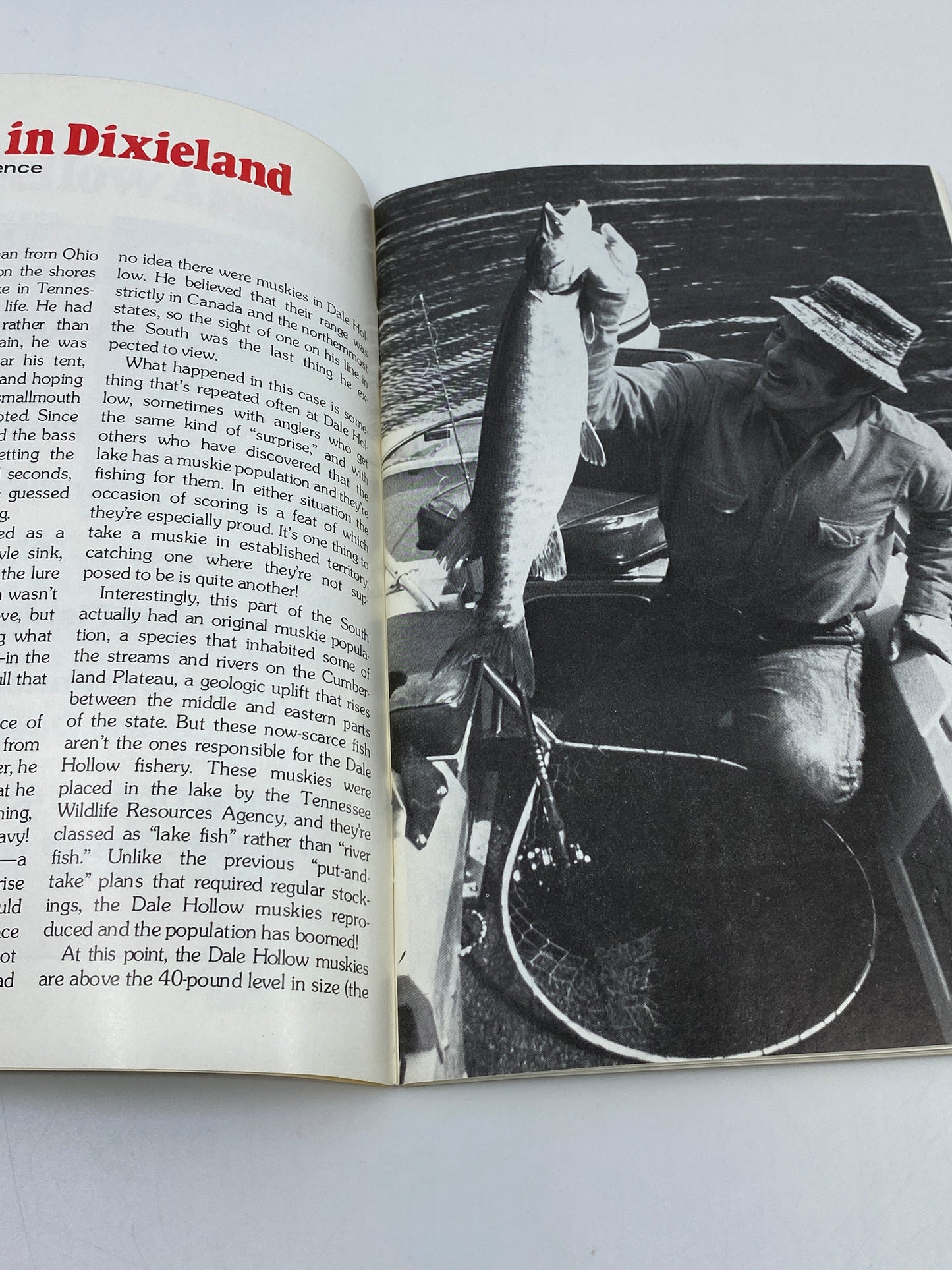 Dardevle Fishing Annual 1980