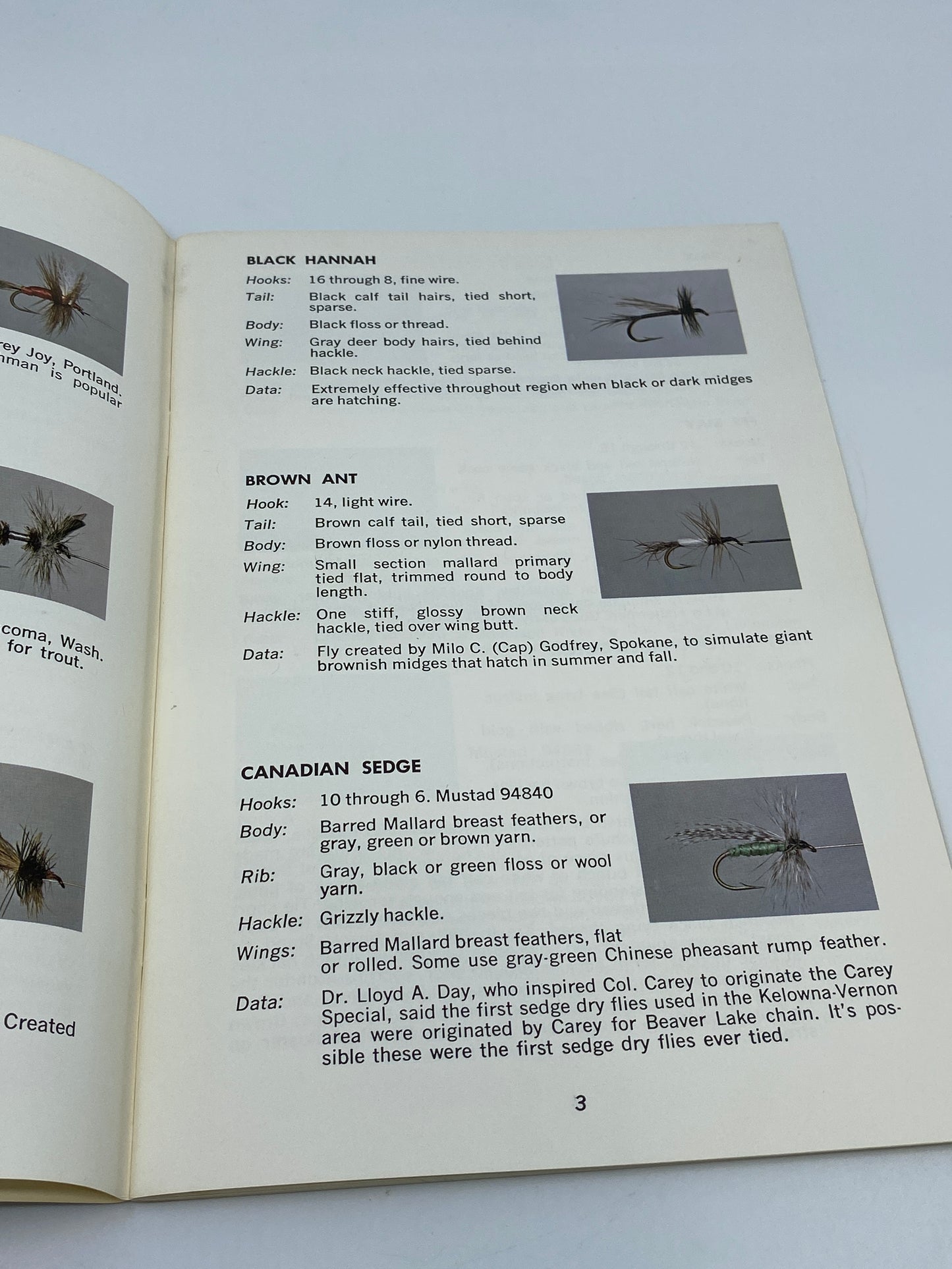Flies of the Northwest