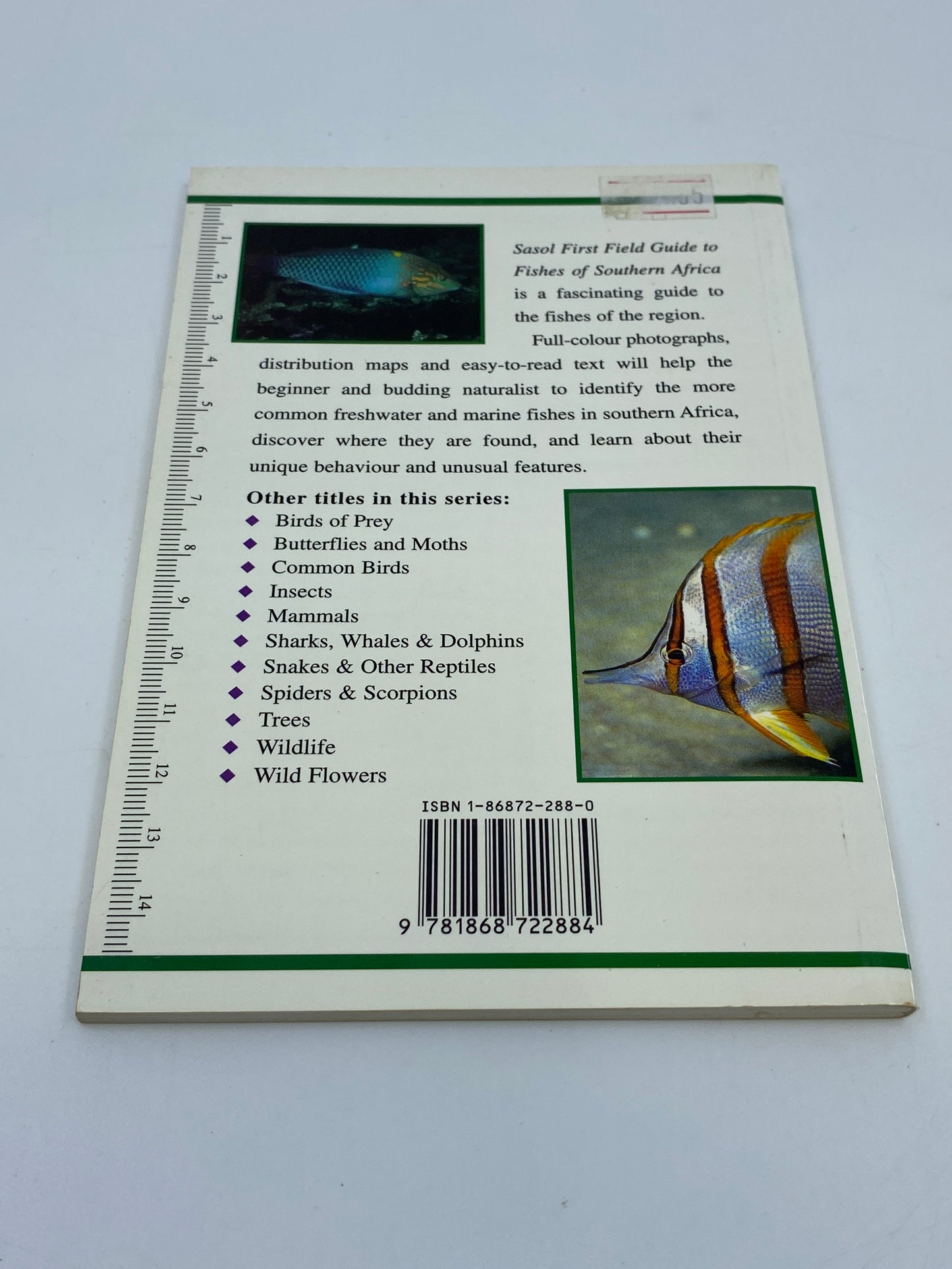 First Field Guide to Fishes of South Africa