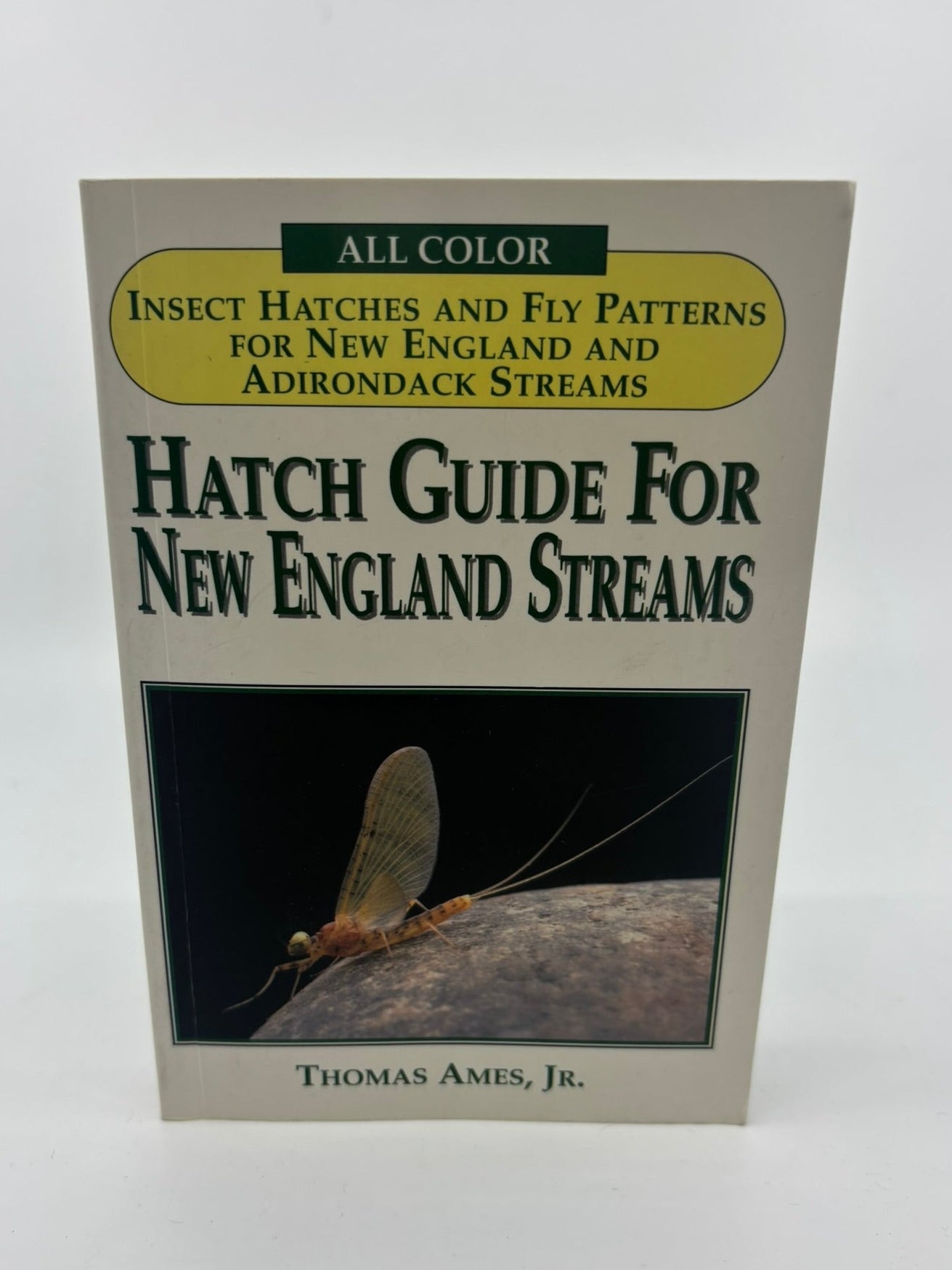 Hatch Guide For New England Streams