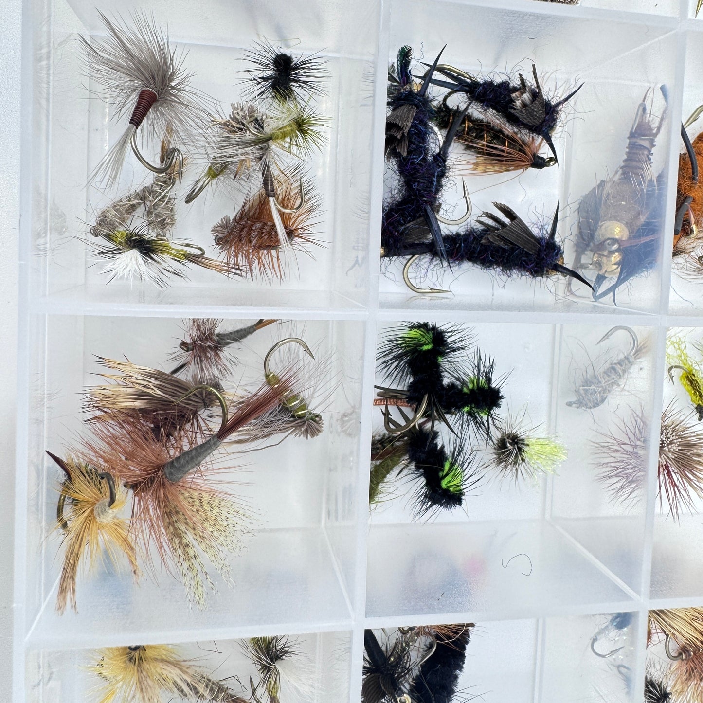 The Ultimate Trout Box