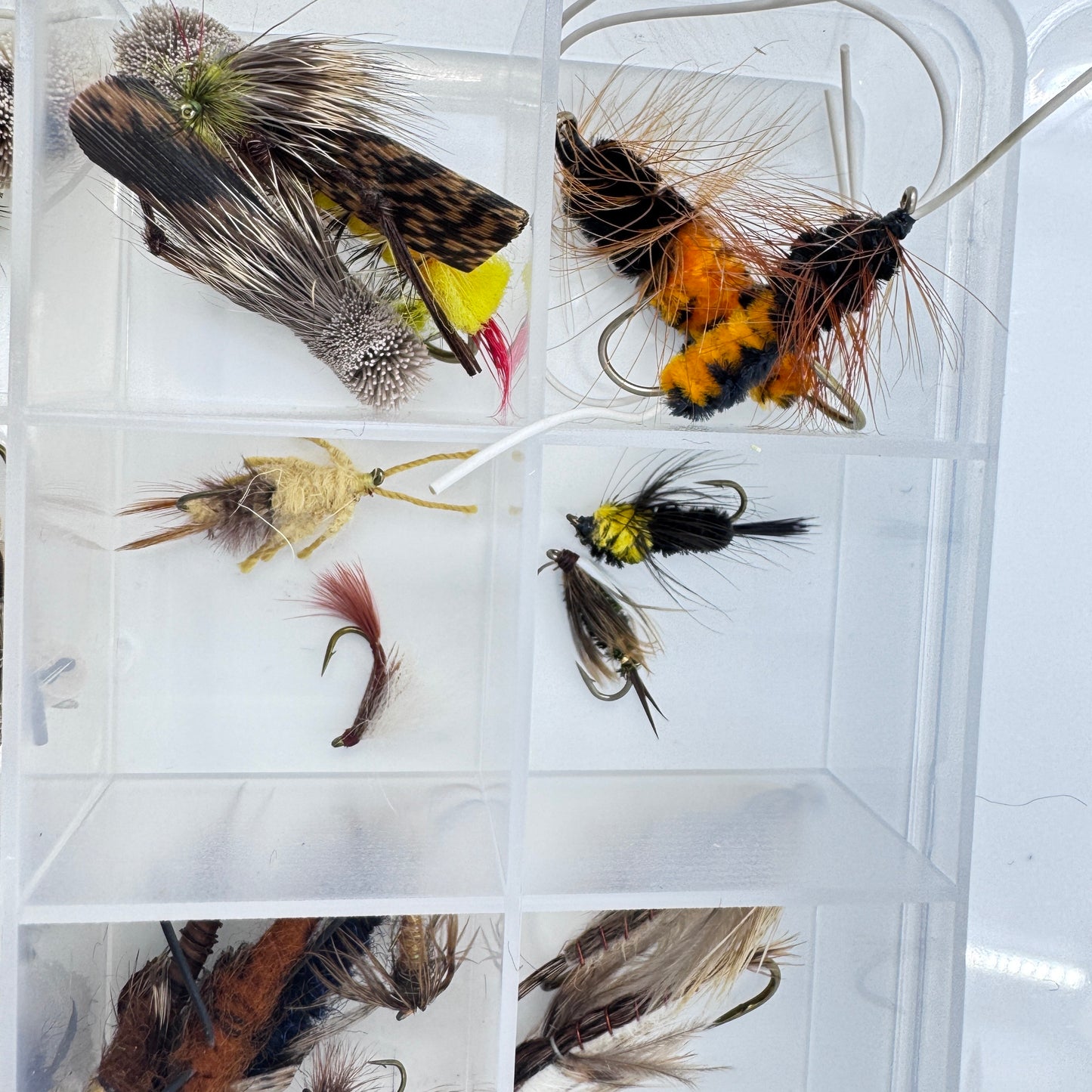 The Ultimate Trout Box