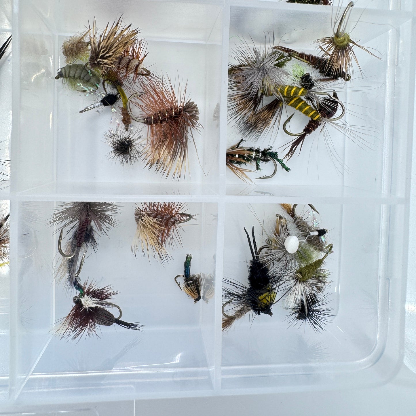 The Ultimate Trout Box