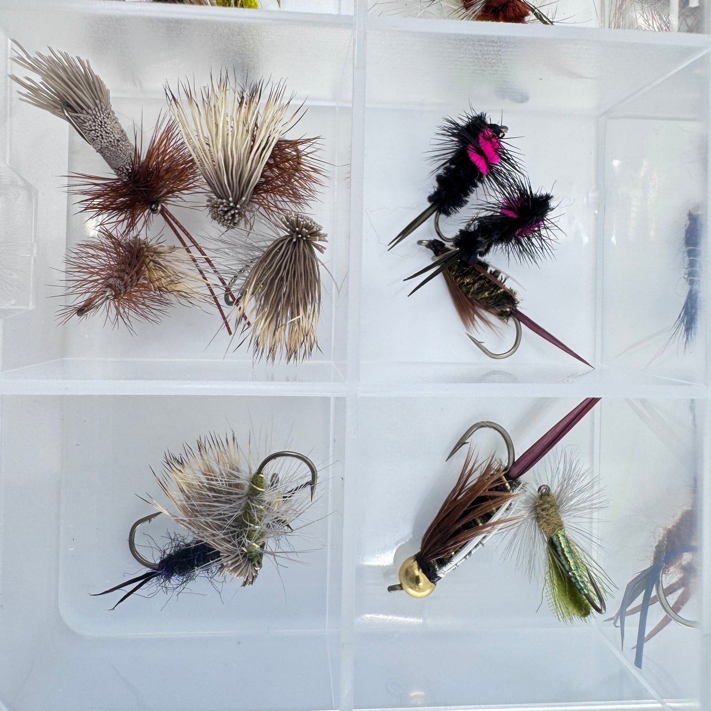 The Essential Trout Box