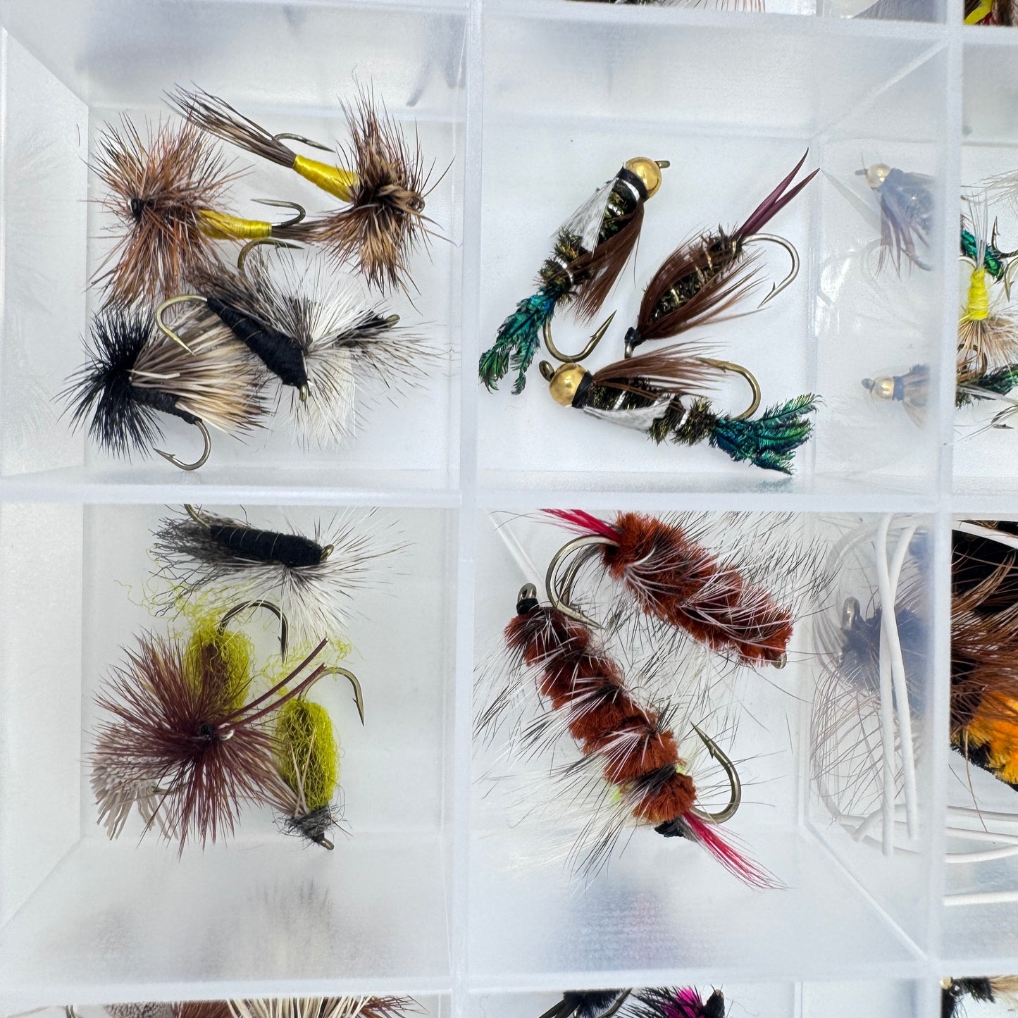 The Essential Trout Box