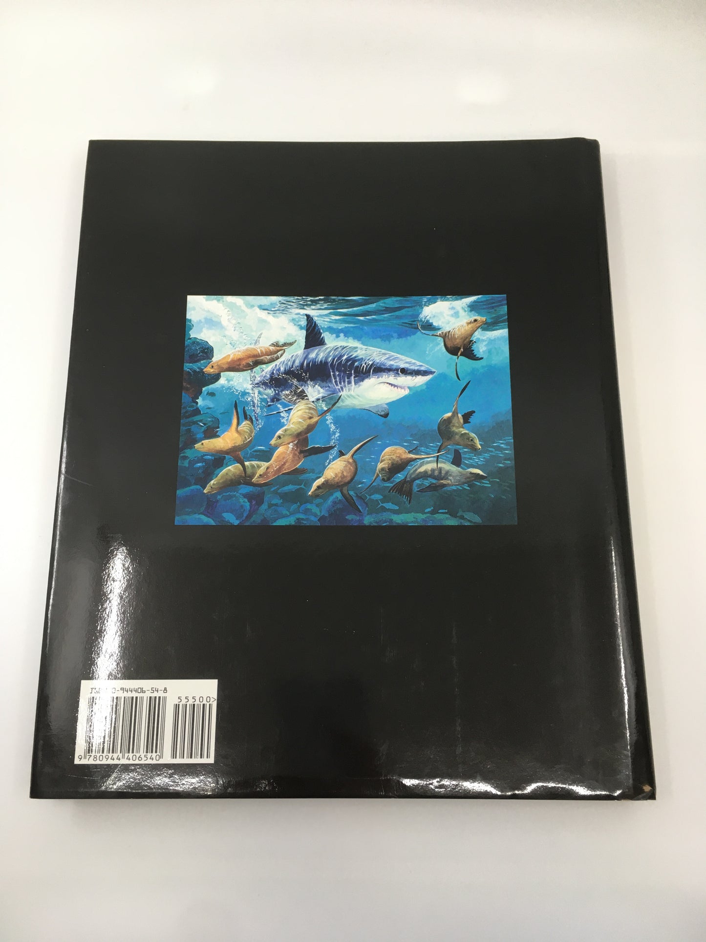 Portraits From The Deep