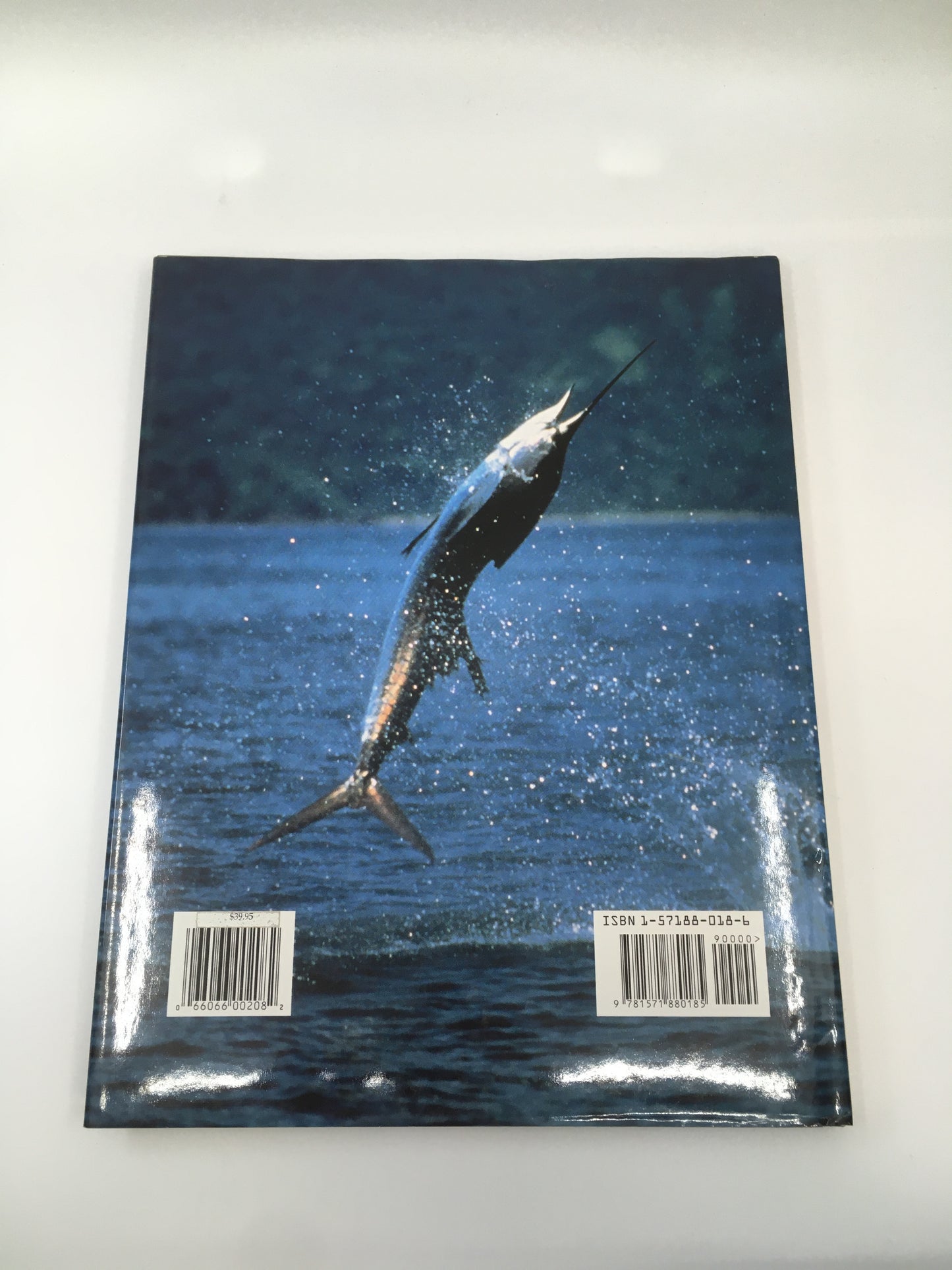 Billfish On A Fly
