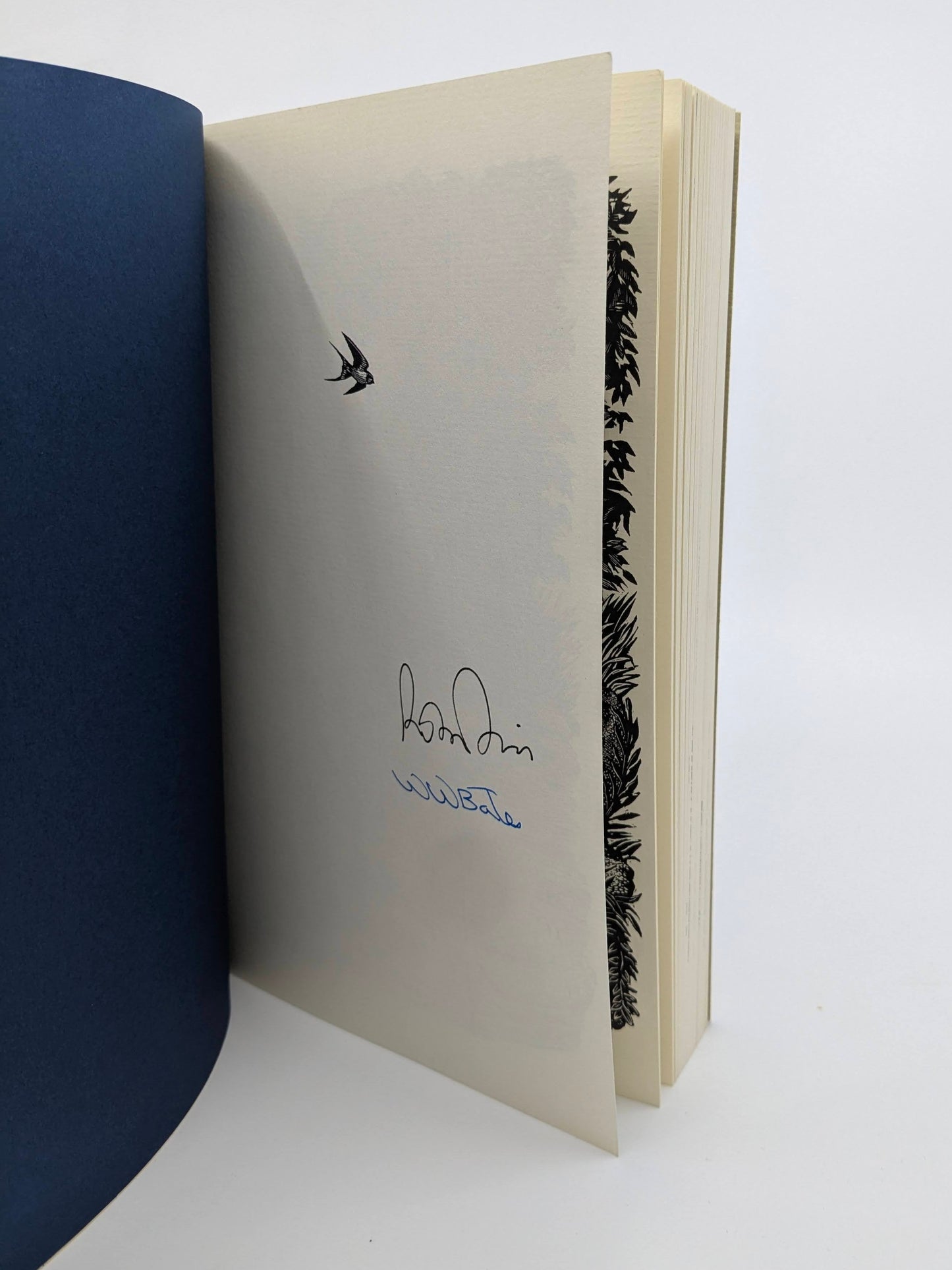 Casting into Mystery - Signed