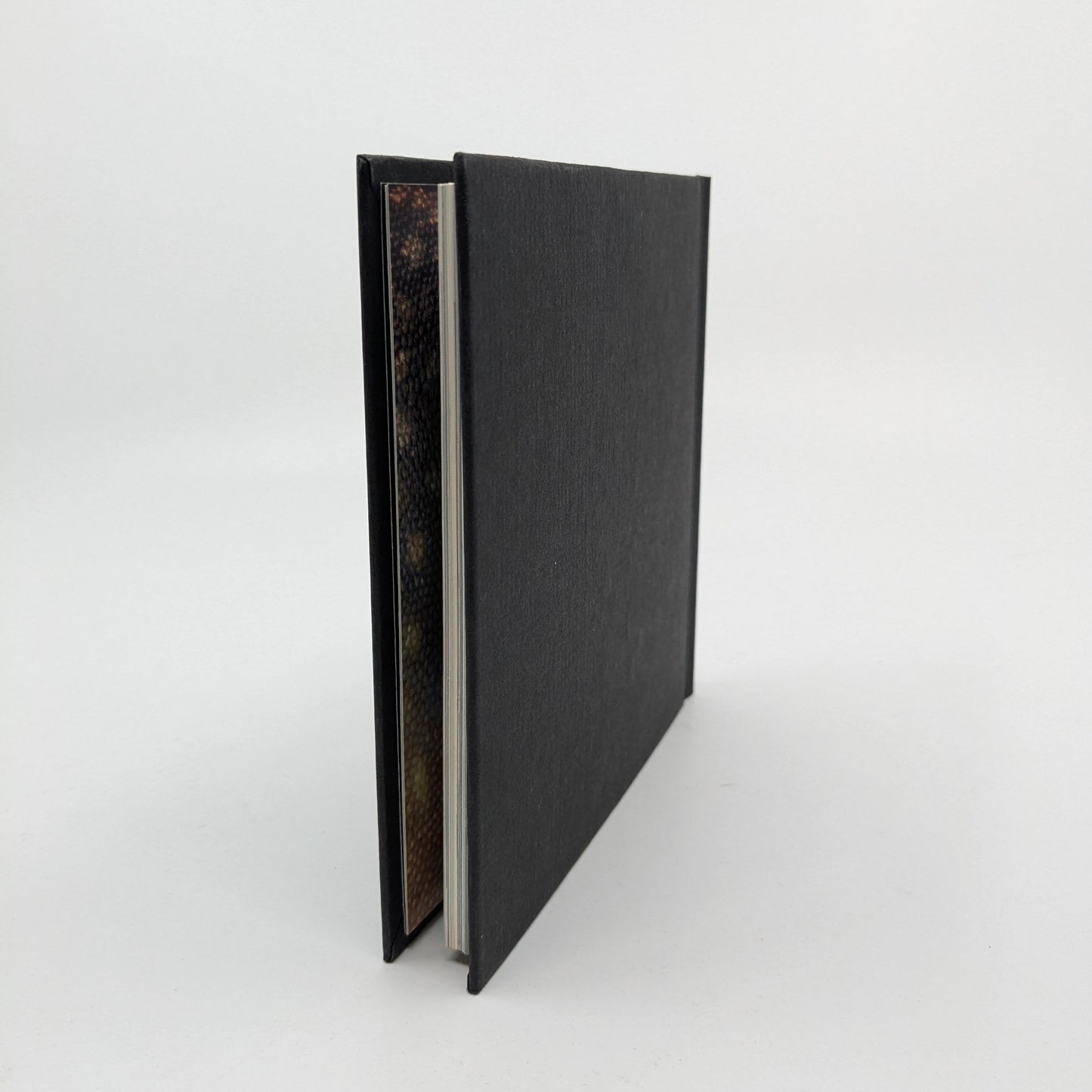 The Little book of Fly Fishing