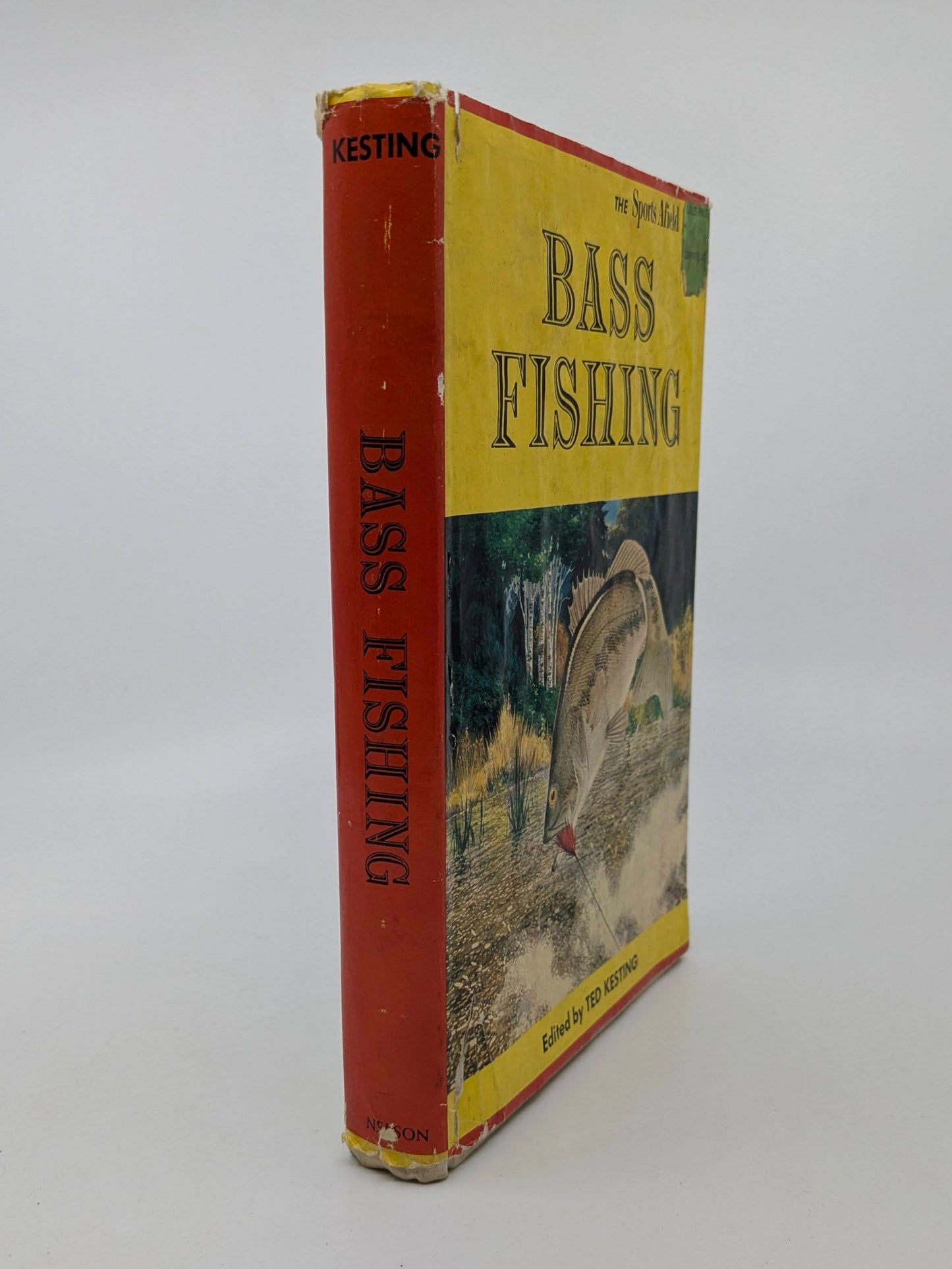 Bass Fishing