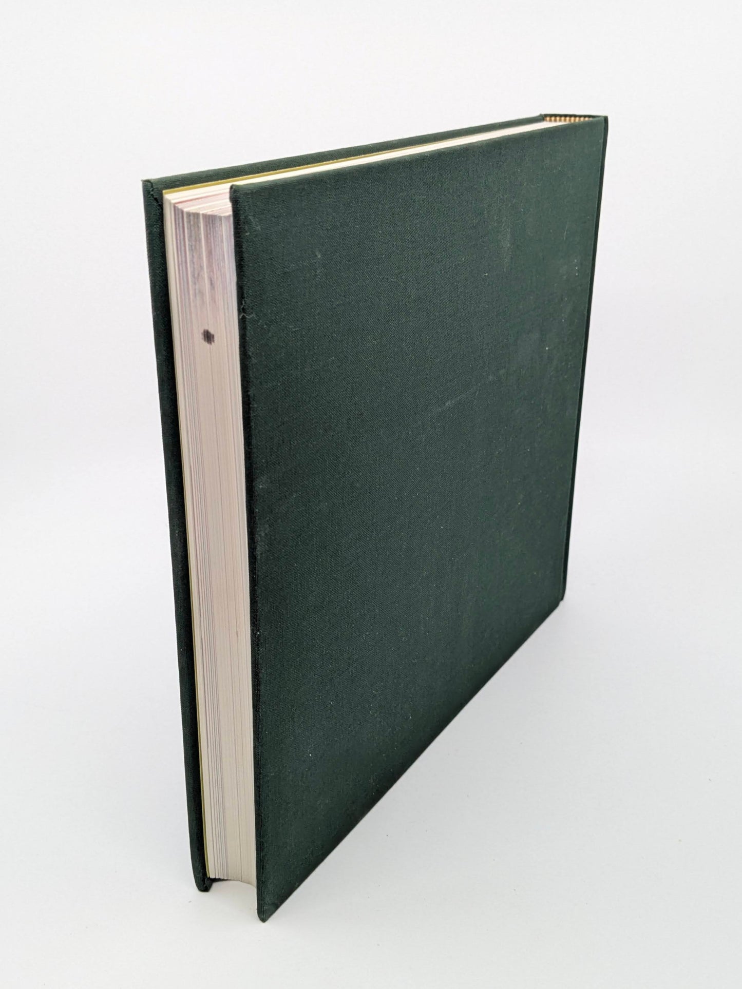 Trout and Salmon of North America