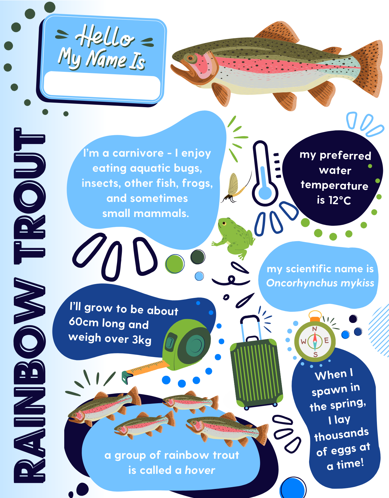 Rainbow Trout Adoption Kit
