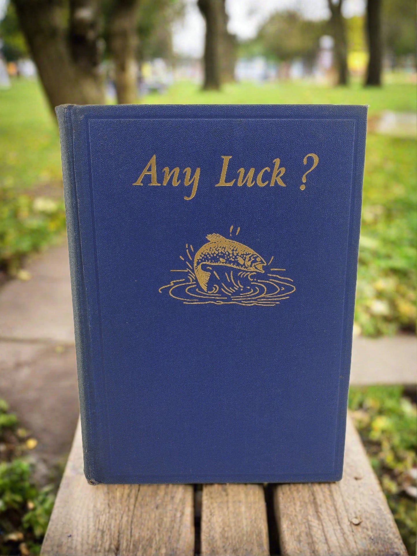 Any Luck?