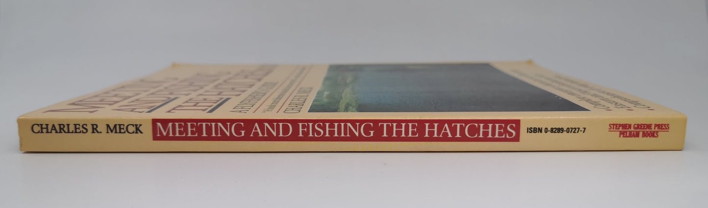 Meeting and Fishing the Hatches: A Flyfisher's Guide
