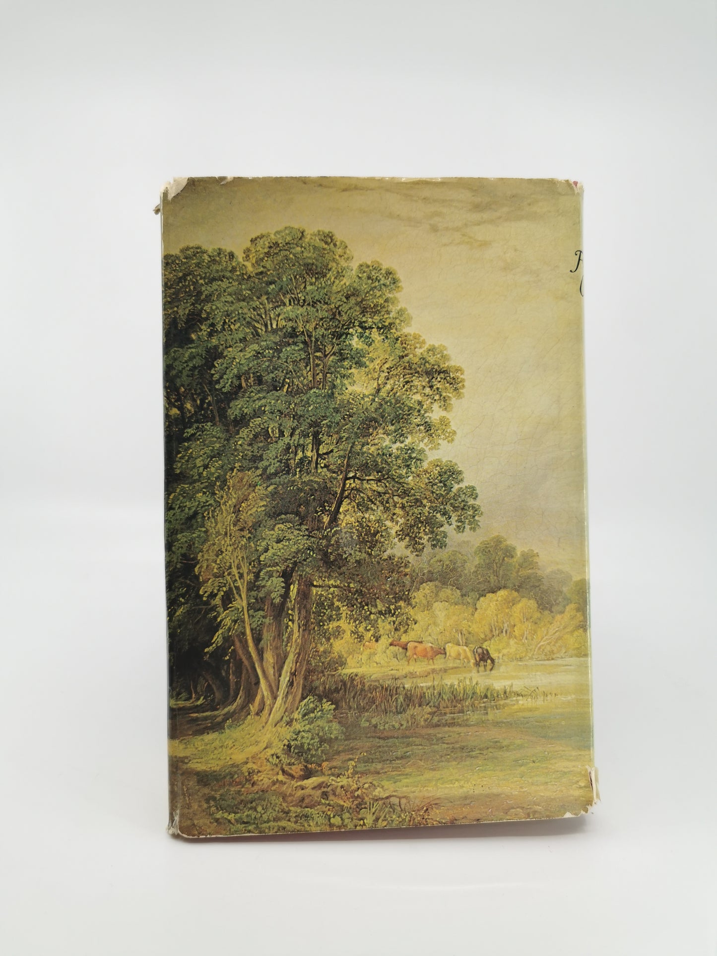 The Fisherman's Companion