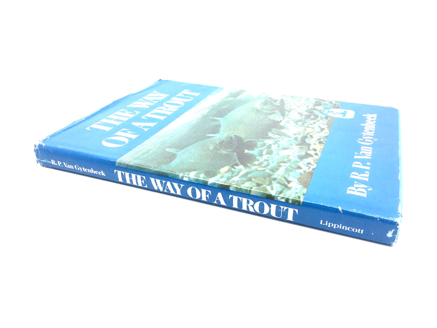The Way of a Trout