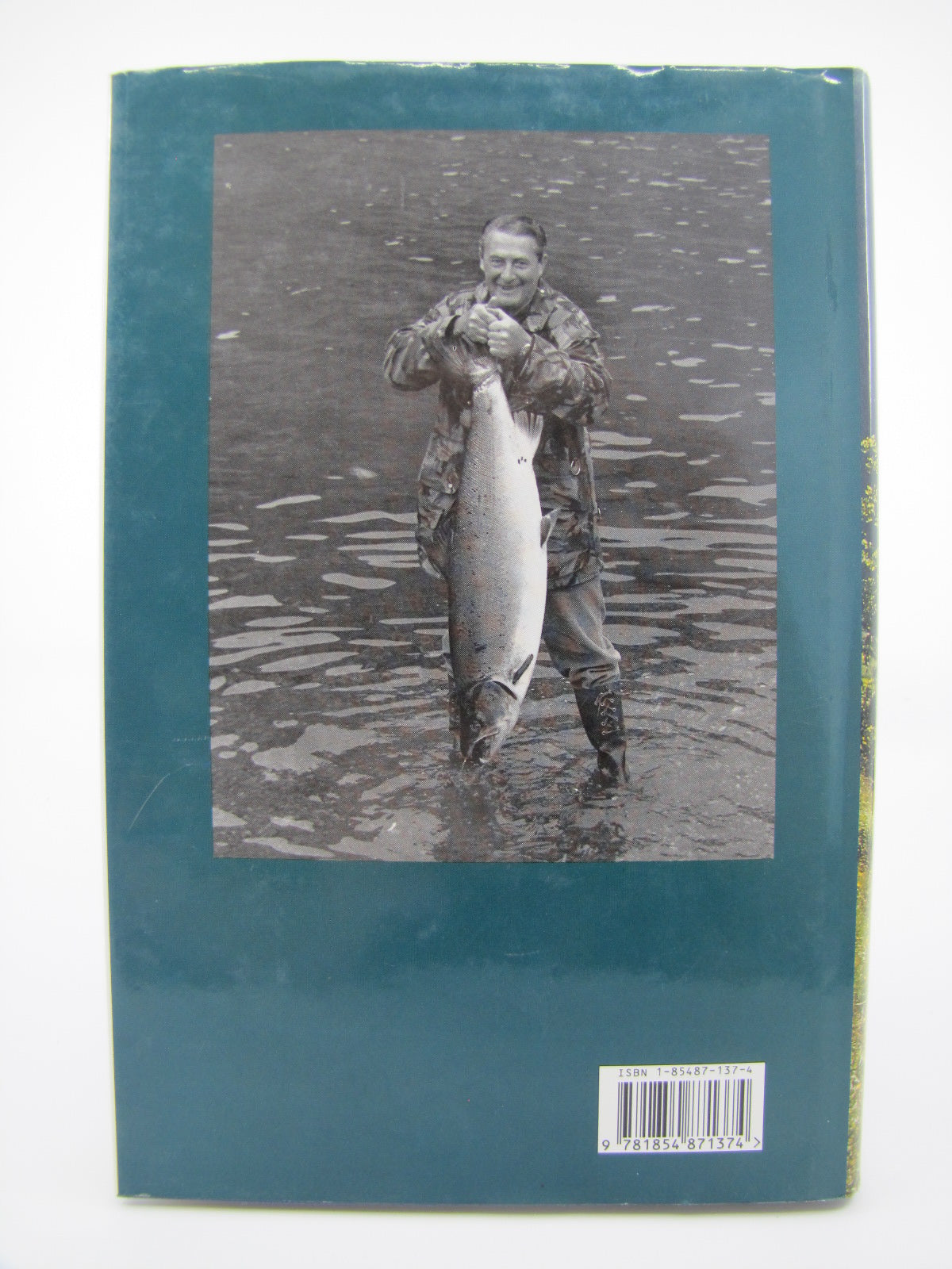 The Big Fish