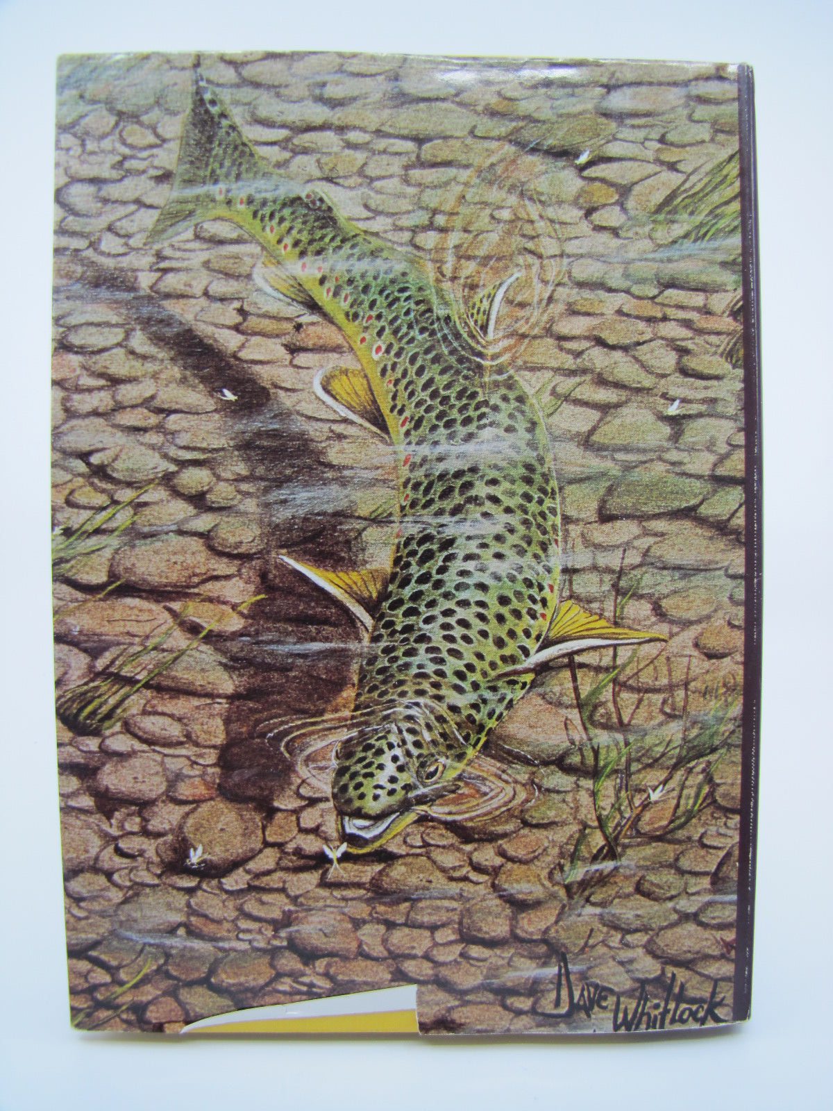 The Masters on the Dry Fly - Signed by Illustrator
