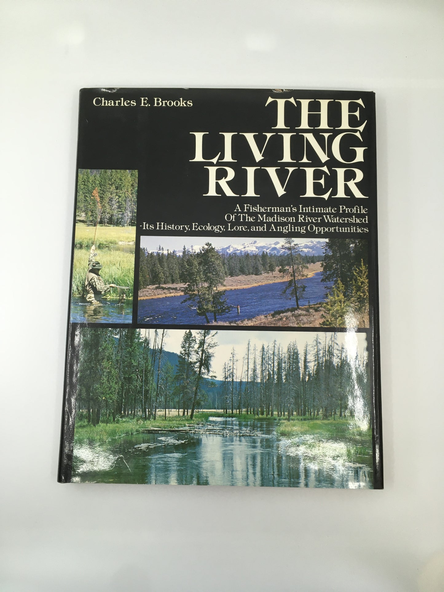 The Living River