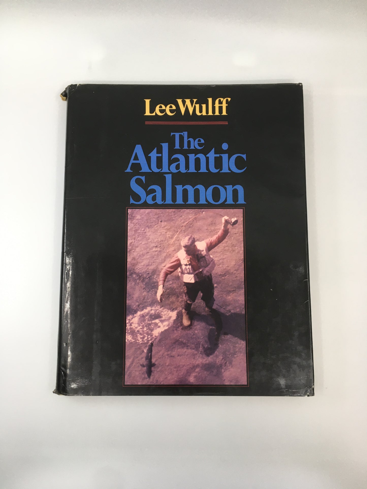 The Atlantic Salmon