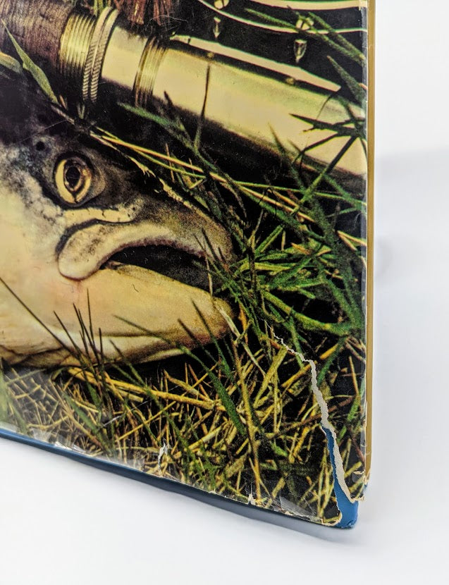 The Treasury of Angling